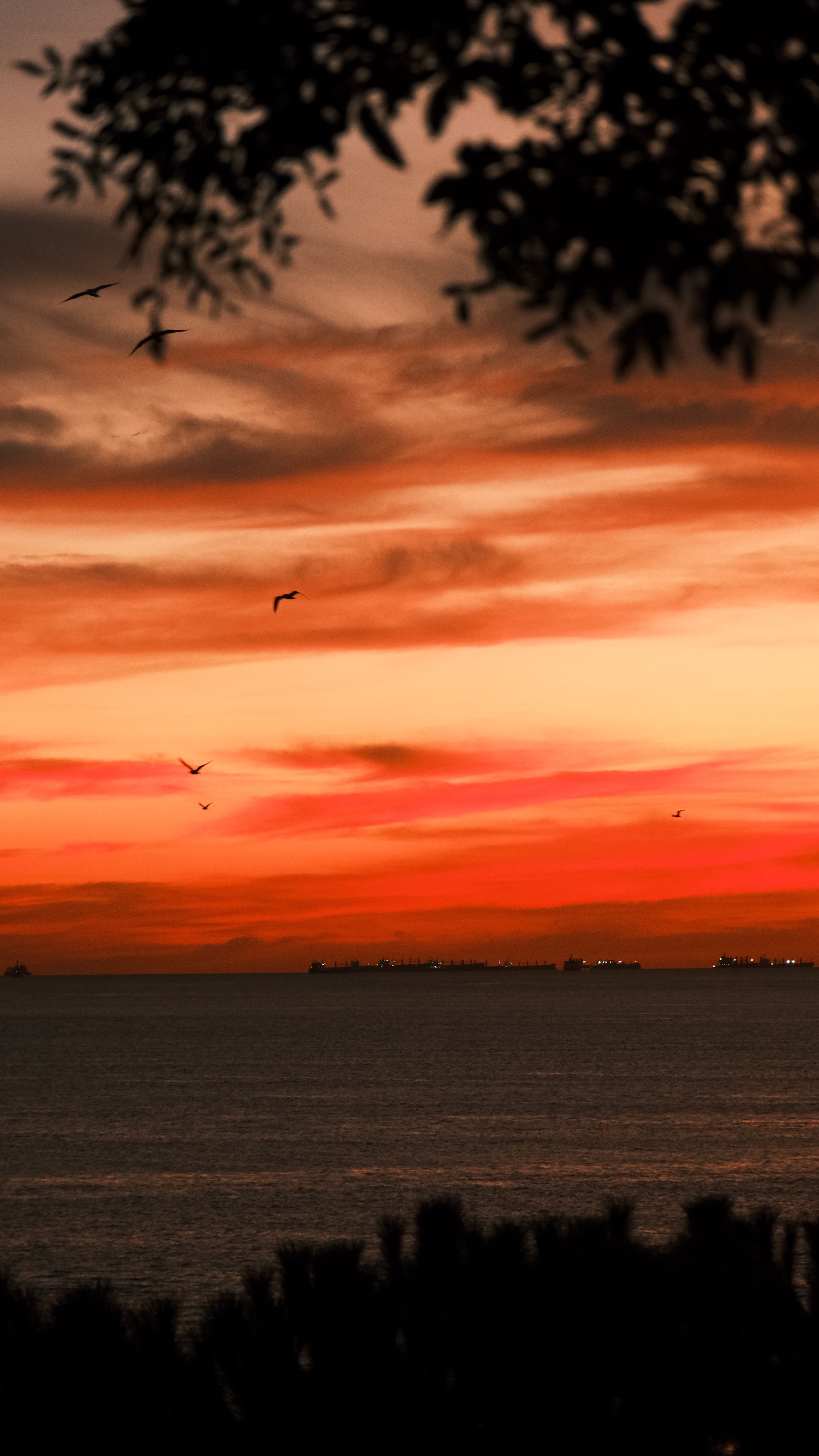 海天融一片夕阳美景绽放