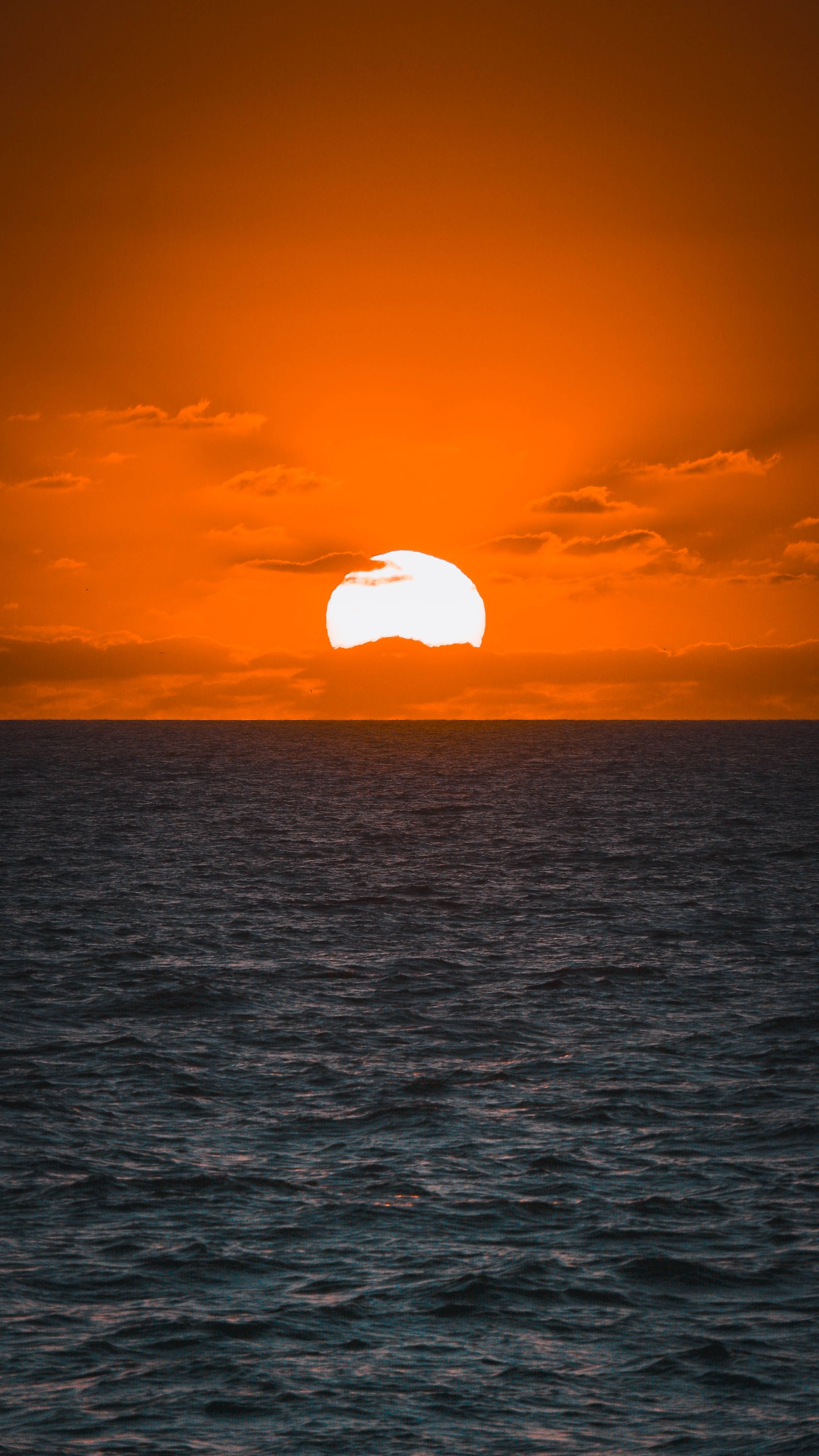 墨西哥新瓦拉塔的海岸下落的美丽夕阳