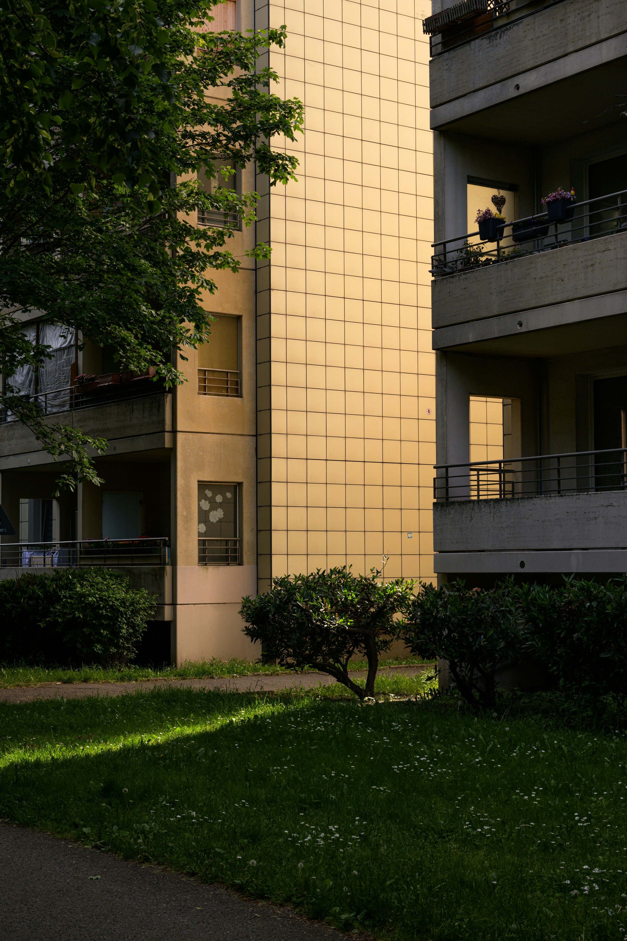 Golden Building Facade Illuminated By Sunlight Between Two Apartment Blocks.