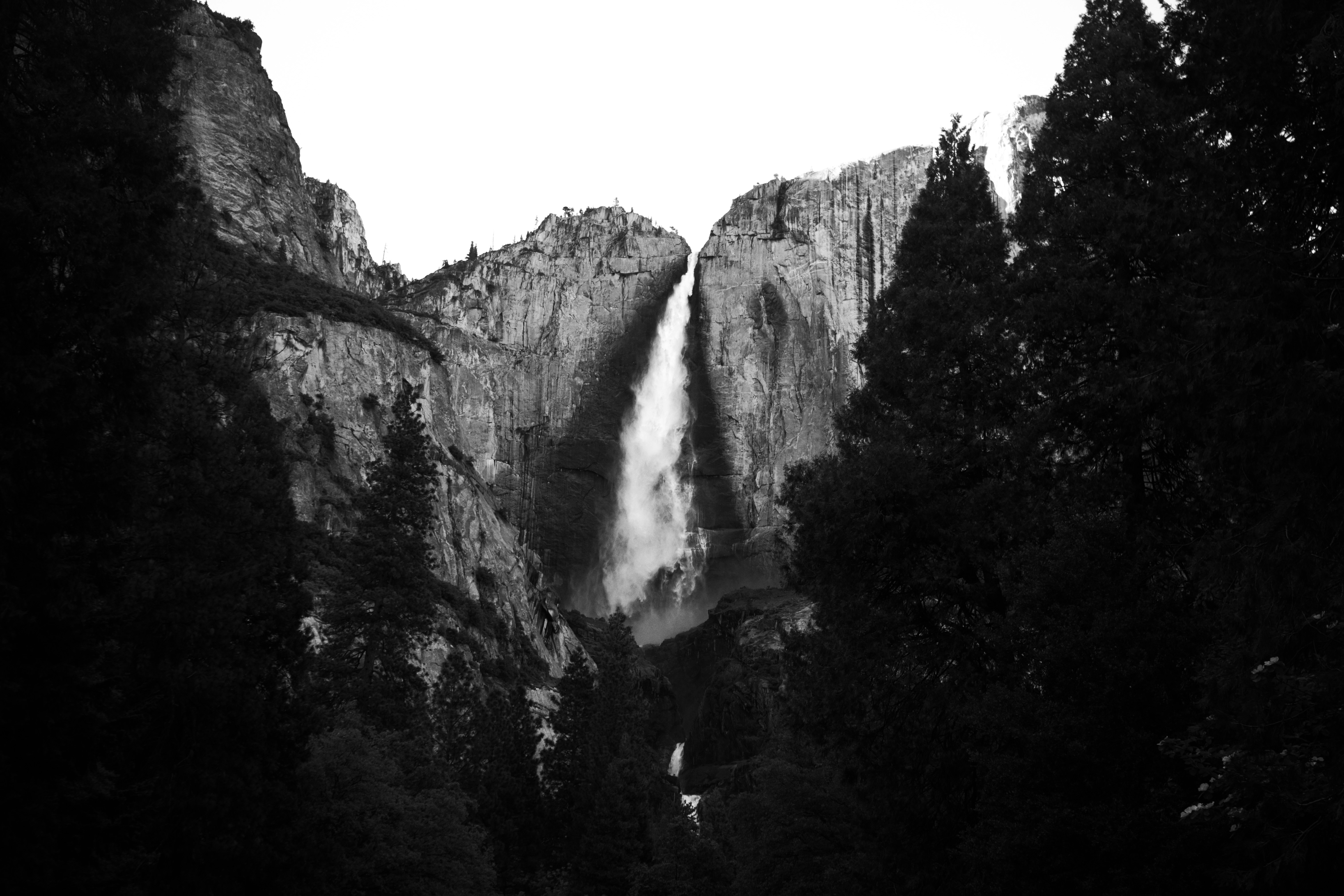 Yosemite Falls Thunders Down A Sheer Granite Face, Framed By Dark Conifers In This High-contrast Black And White. The Bright Plume Of Water Cuts Through The Shadowed Valley, Where The Upper Fall Plunges Into Mist Before Reaching The Lower Cascade. A Study In Light And Stone, Captured In Classic Monochrome.