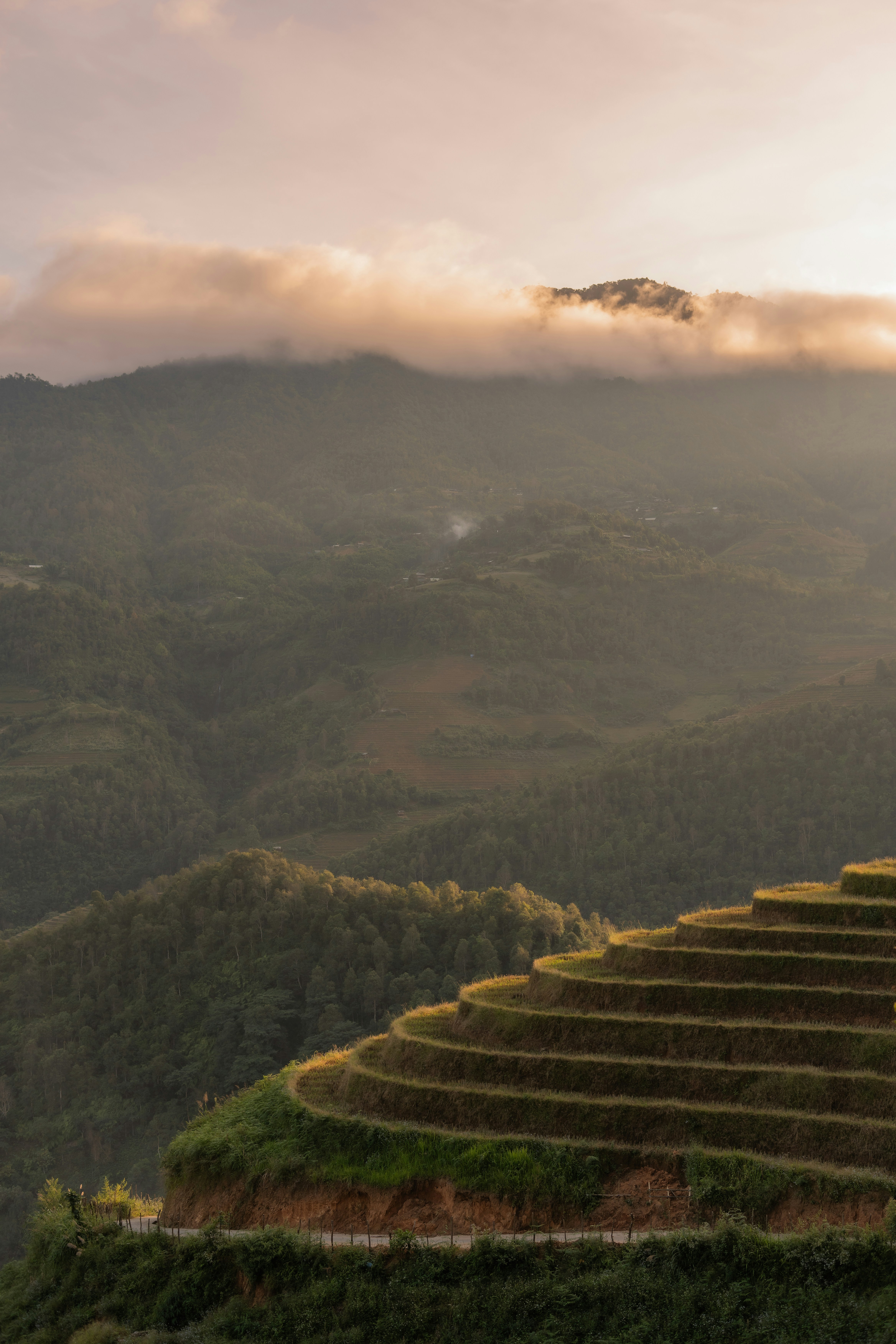 Sunset Over Rice Field In Vietnam