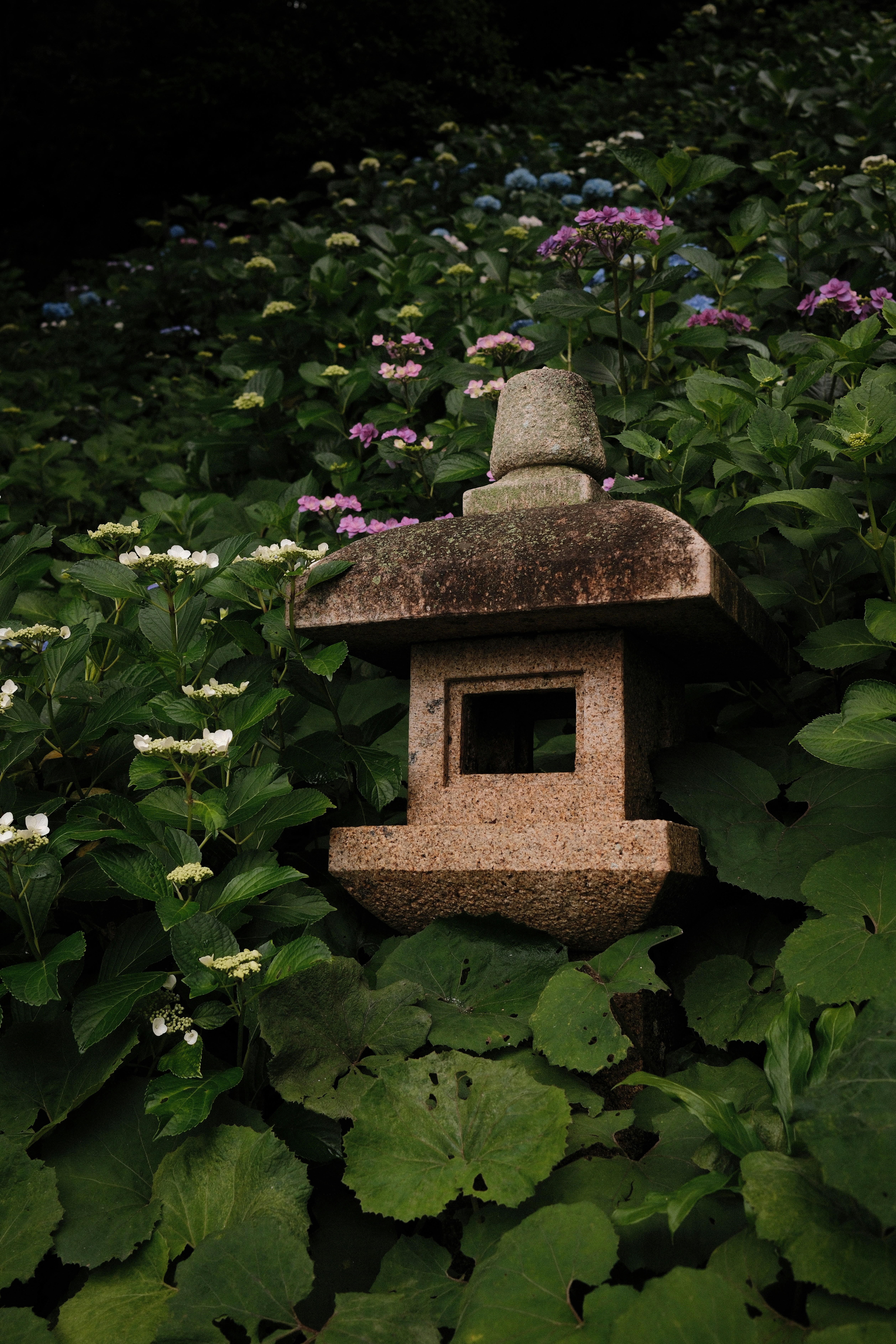 Hidden Lanterns