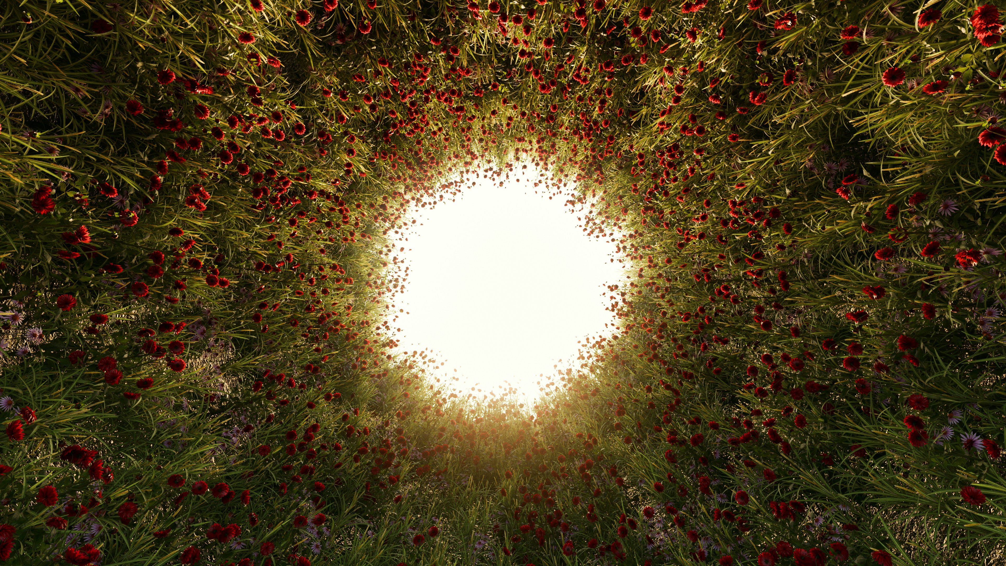 Bright Light At The End Of A Flower-lined Tunnel.