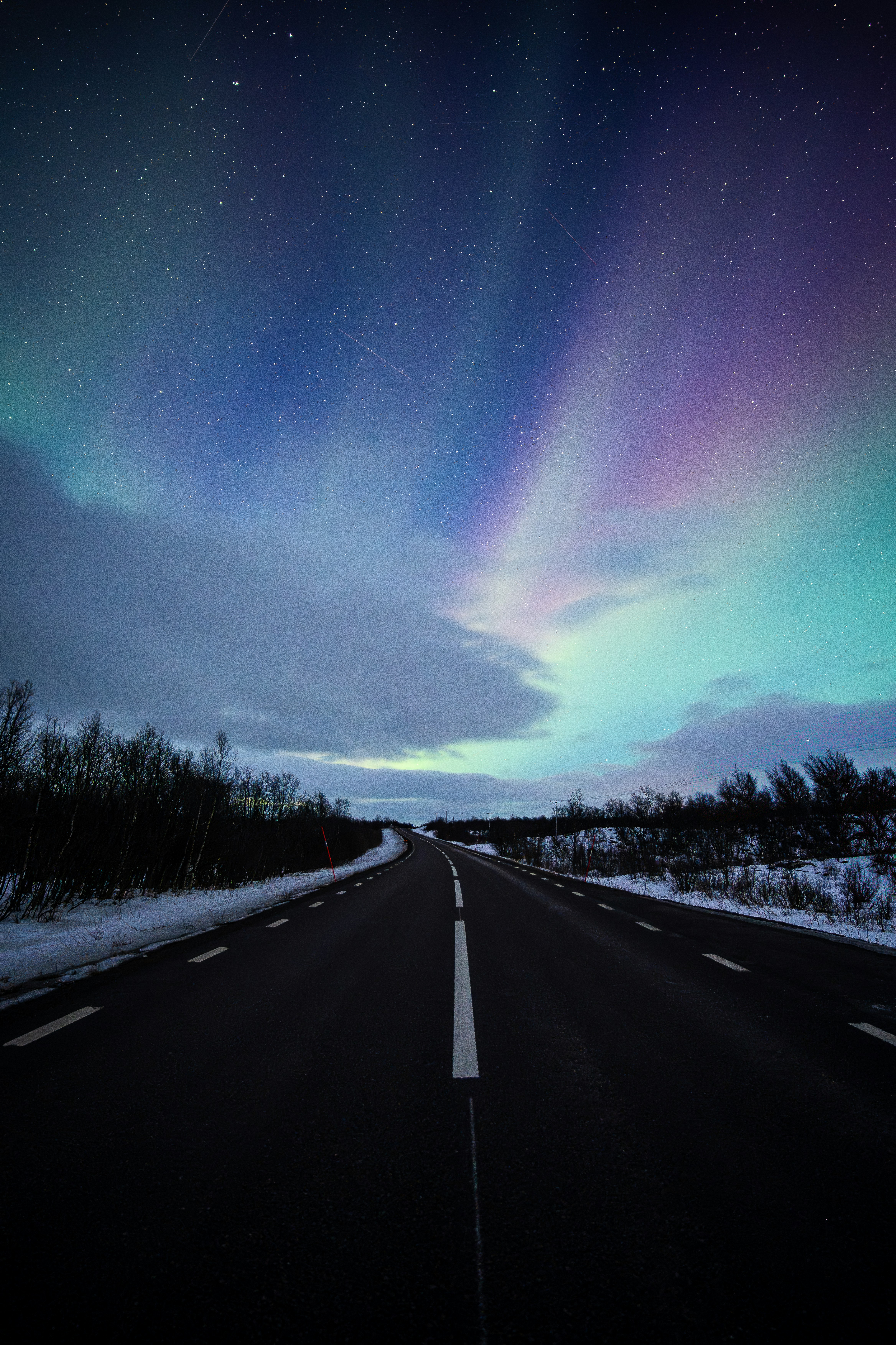 北极光绽放在雪地小径和星空之夜