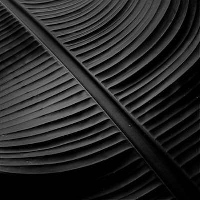 Dark Textured Leaf With Prominent Veins. wallpaper preview