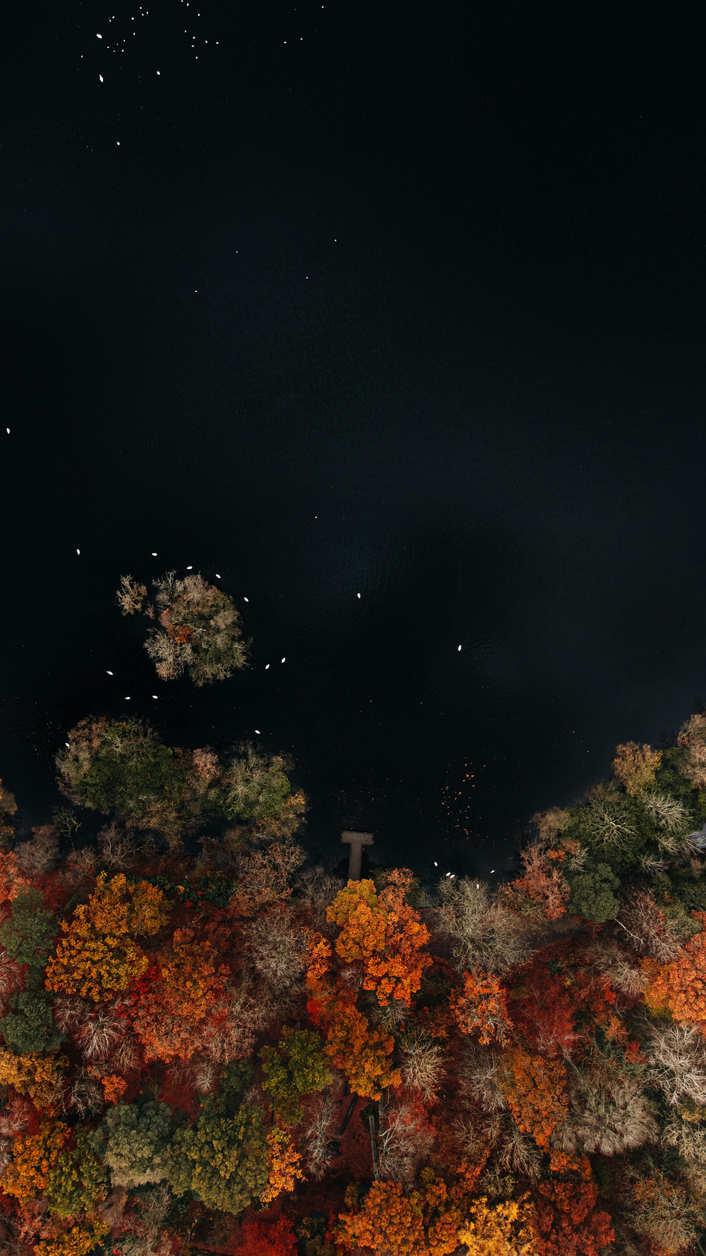Stunning Aerial View Of A Vibrant Autumn Forest Bordering A Tranquil Lake, Showcasing Rich Seasonal Colors From Above. HD mobile wallpaper