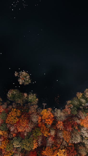 Stunning Aerial View Of A Vibrant Autumn Forest Bordering A Tranquil Lake, Showcasing Rich Seasonal Colors From Above. wallpaper preview