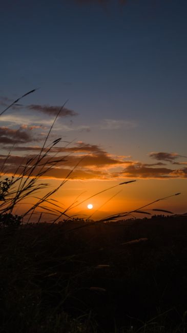 美丽的夕阳映照牧场中的倒影壁纸预览