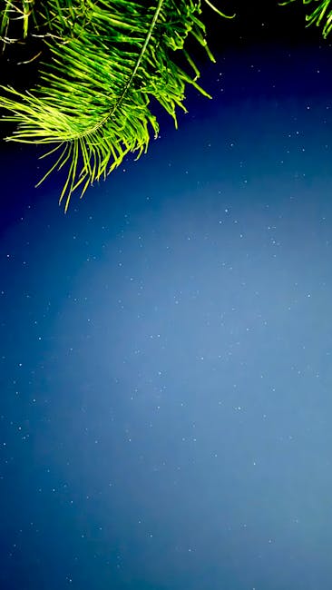 A Serene View Of A Starry Night Sky Framed By Palm Fronds In The Bahamas, Ideal For Backgrounds. wallpaper preview