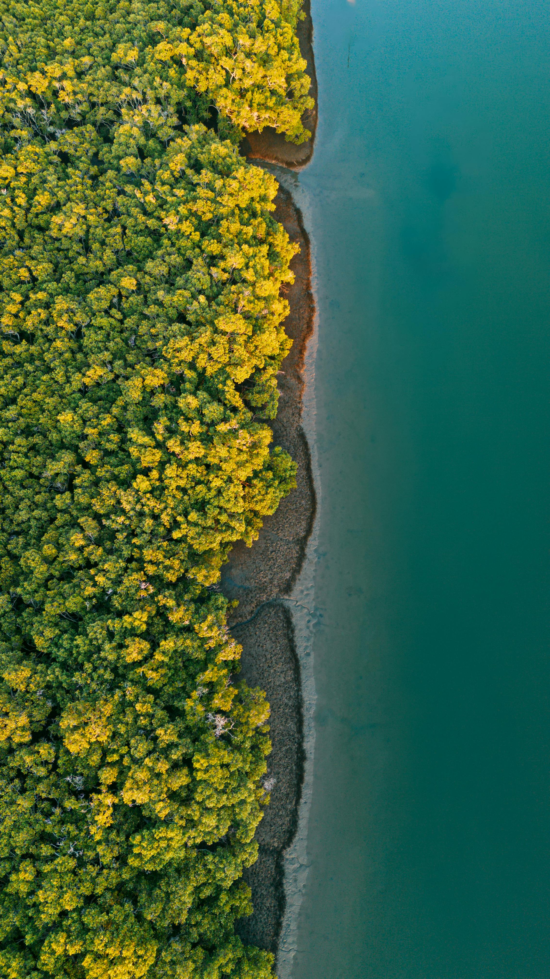 Captivating Aerial View Of Lush Greenery Meeting Blue Waters At Brisbane's Coastline. Perfect For Nature Enthusiasts. HD mobile wallpaper