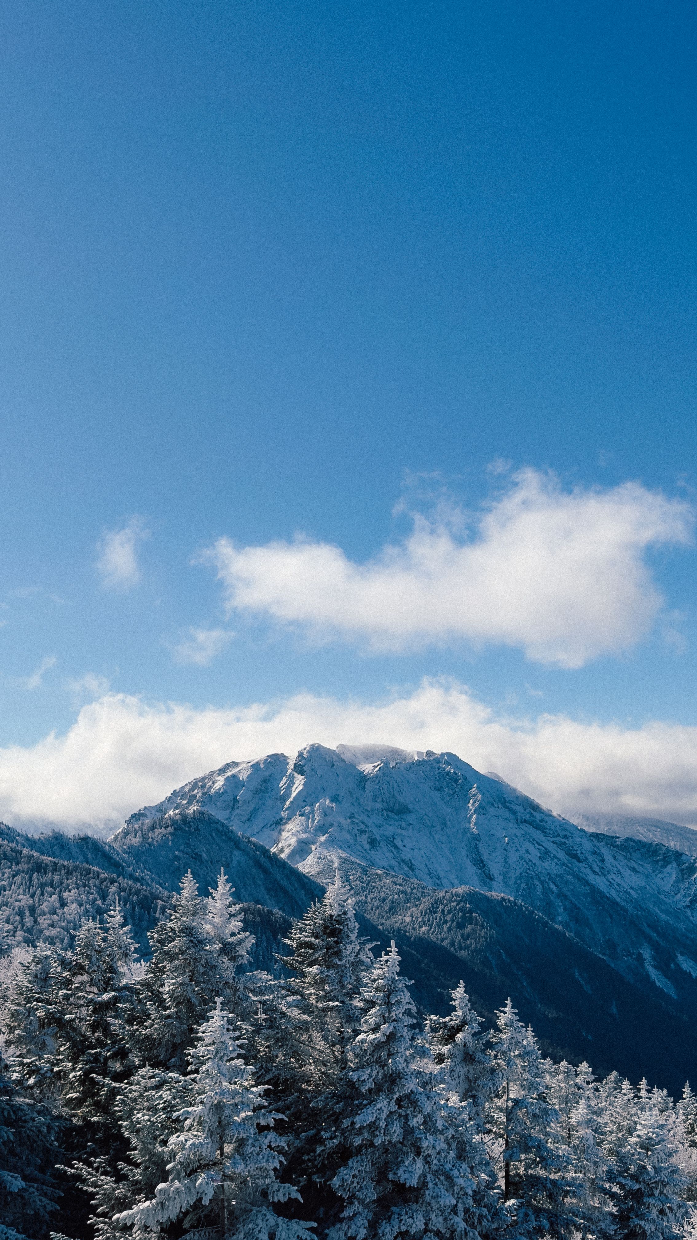 Breathtaking View Of Snow-covered Mountains And Pine Trees Under A Clear Blue Sky In Japan. HD mobile wallpaper