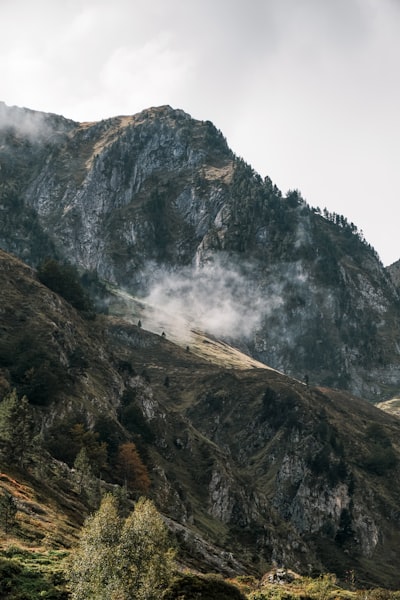霧靛的山巅树影壁纸预览