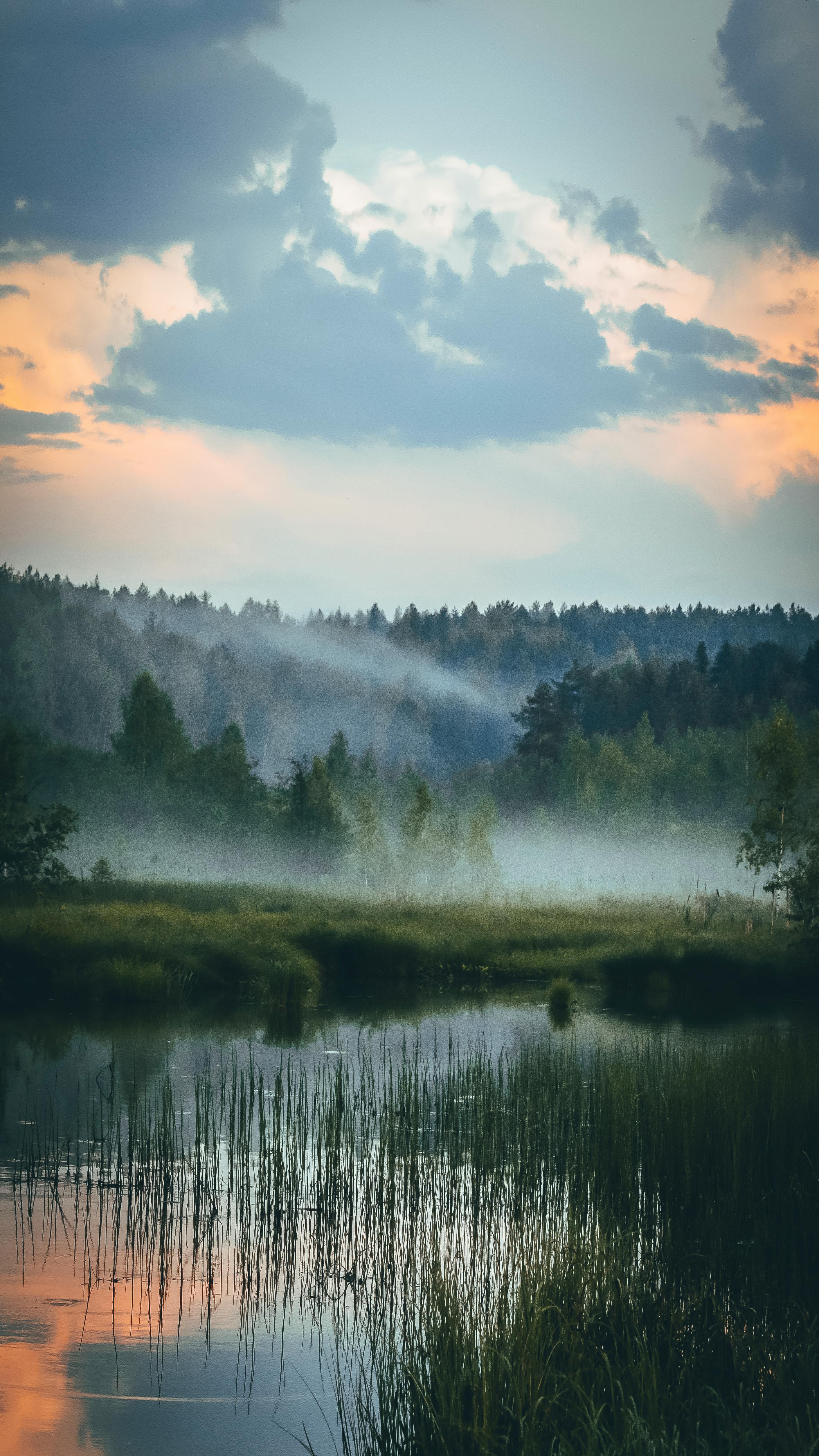 Tranquil Forest Scene With Mist Over Calm Water And Vibrant Sky At Sunrise, Perfect For Peaceful Themes. HD mobile wallpaper