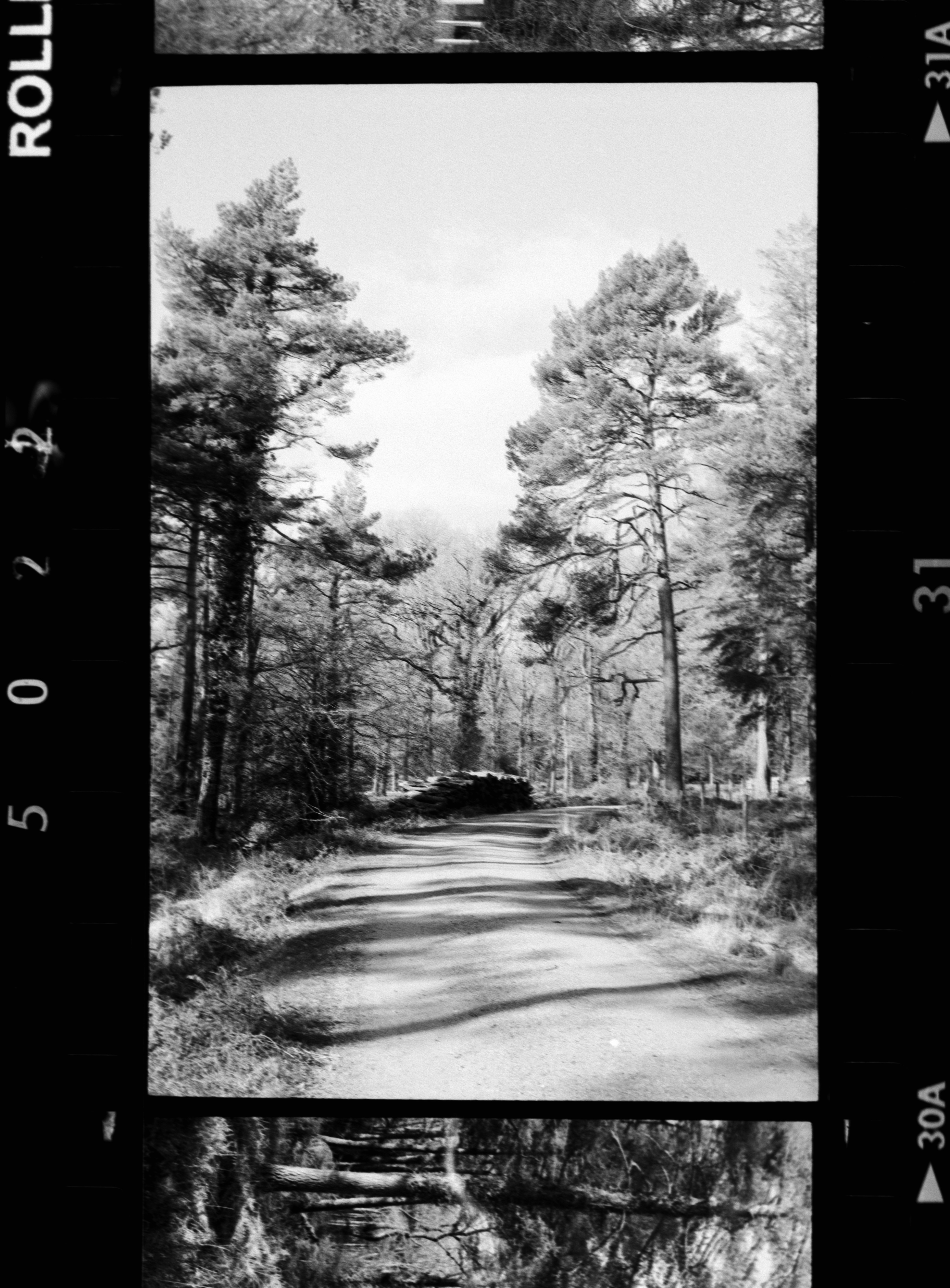 時光的遺憾：用Rolleiflex 35T攝影手機桌布高清圖片