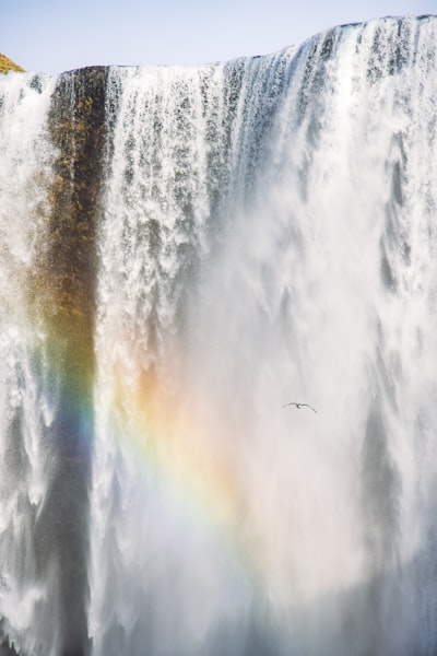 Majestic Waterfall With A Rainbow And A Bird.