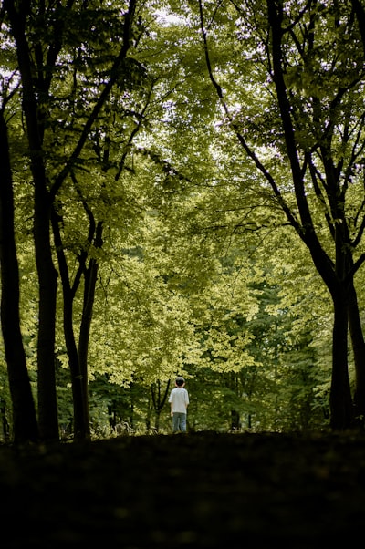 Lost In Green Silence wallpaper preview