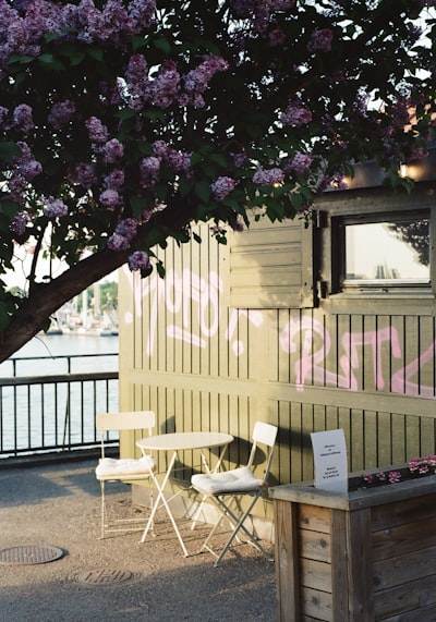 Cafe Chairs Under A Blooming Lilac Tree By The Water. wallpaper preview