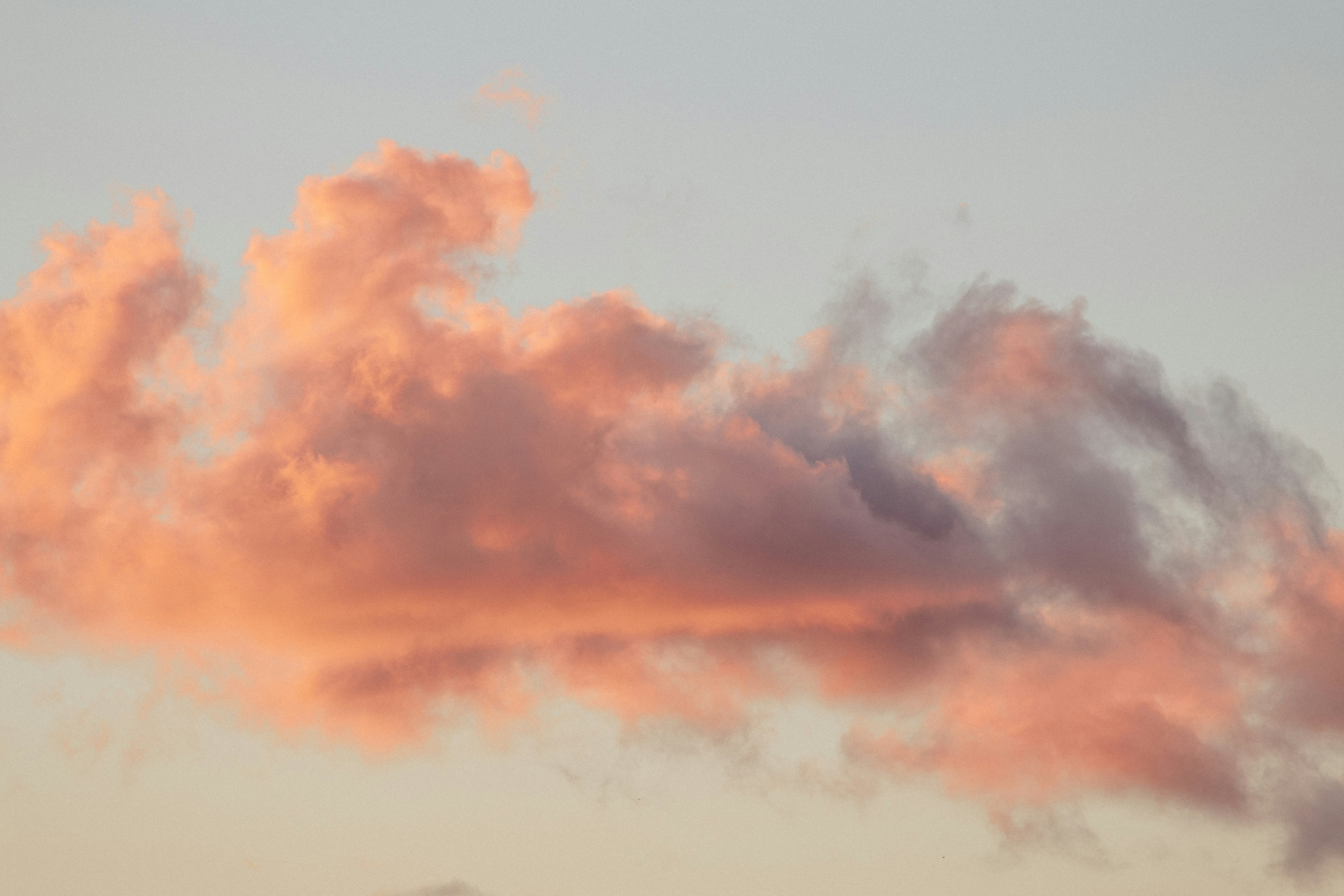 Soft, Fluffy Clouds Illuminated By The Warm, Golden Pink Light Of A Sunset Or Sunrise Against A Pale Sky. HD mobile wallpaper