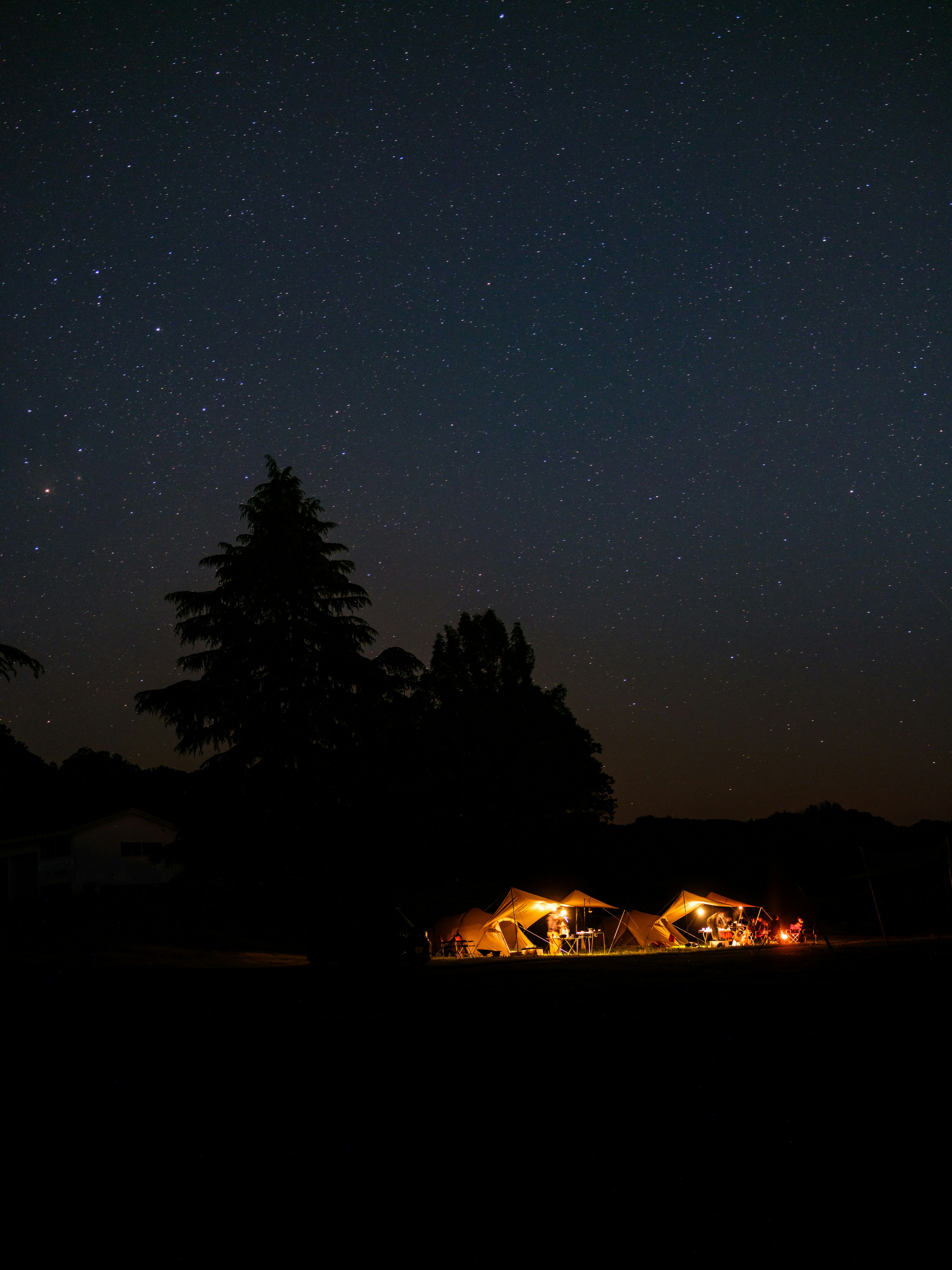 Illuminated Tents Under A Starry Night Sky With Trees. HD mobile wallpaper