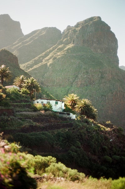 White House On A Green Mountain Slope With Palm Trees. wallpaper preview