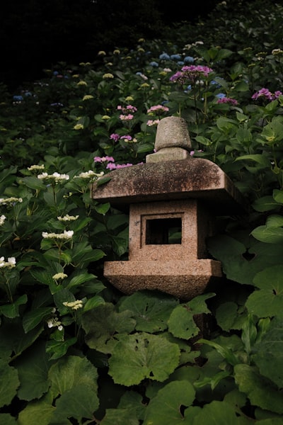 Hidden Lanterns