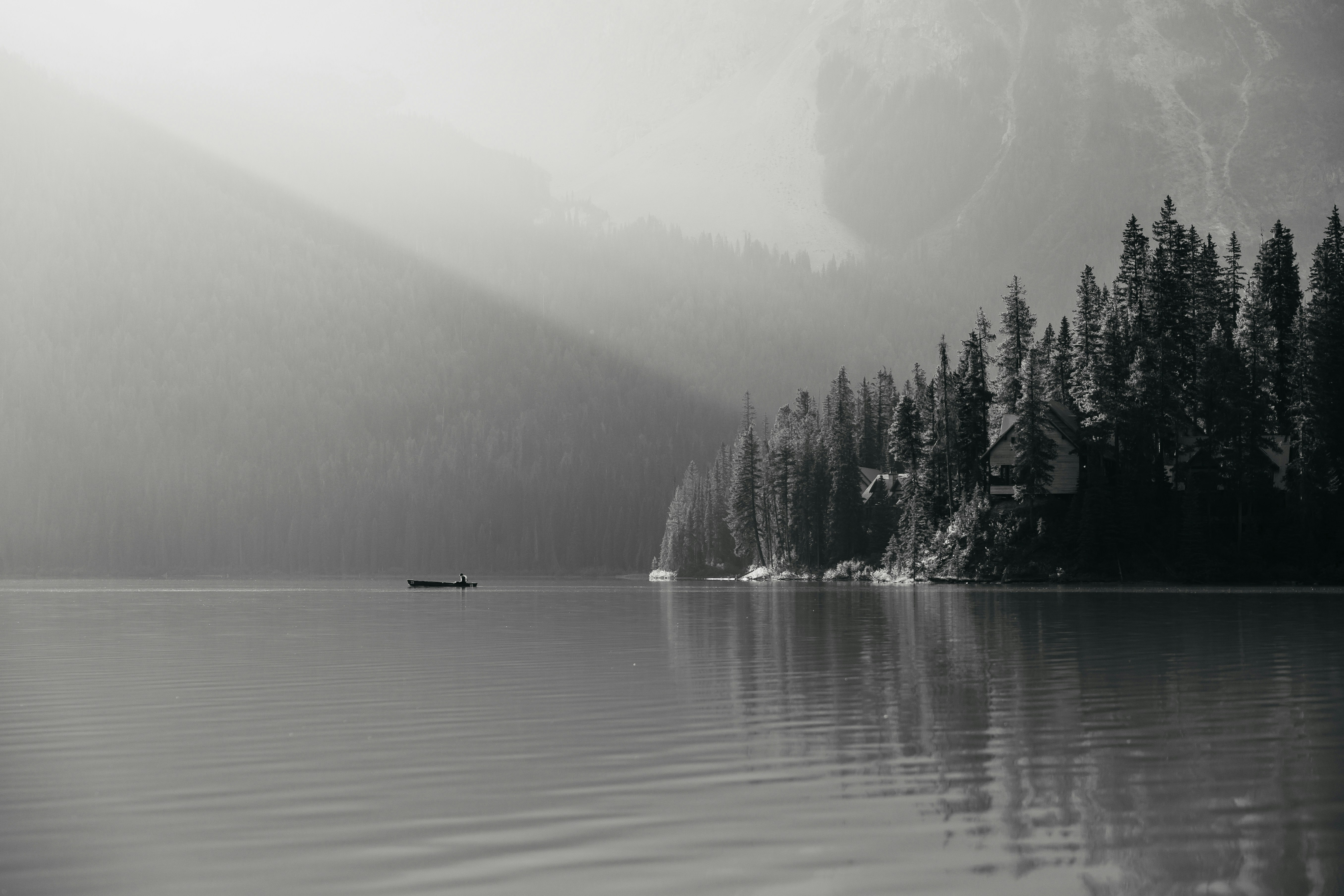 Misty Lake With Pine Trees And Sunbeams HD mobile wallpaper