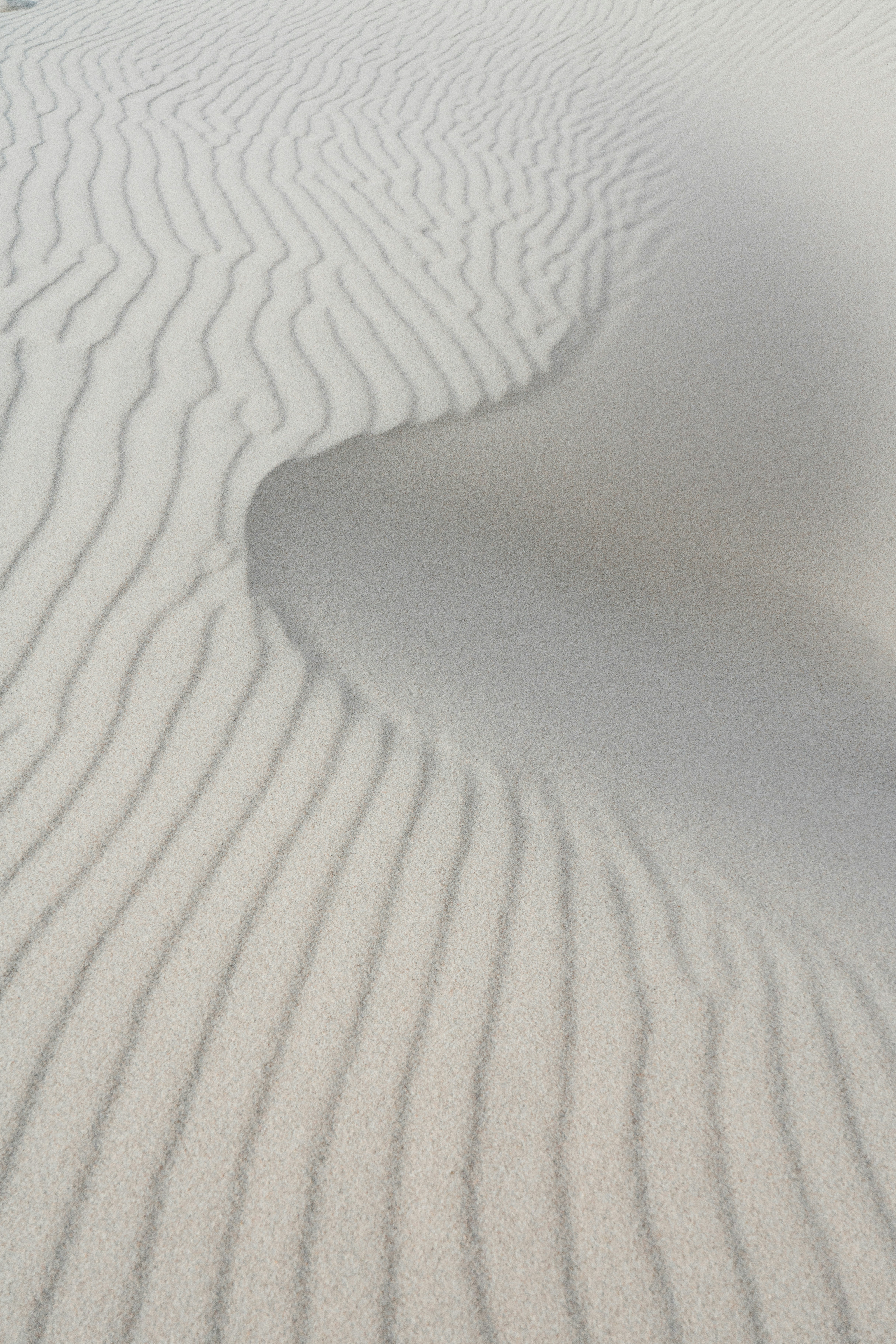 Textured Sand Dunes With Intricate Ripple Patterns. HD mobile wallpaper