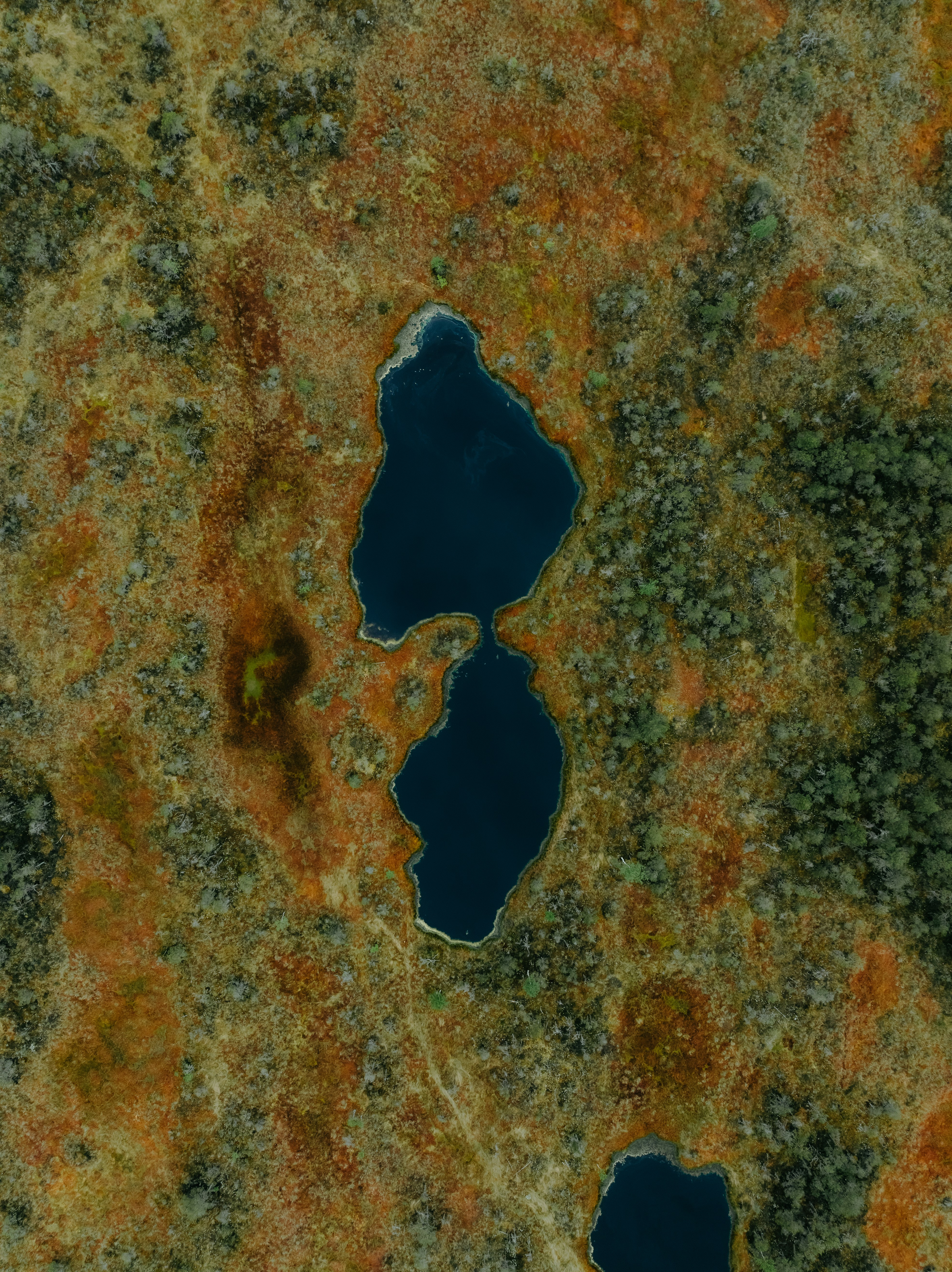 Aerial View Of Dark Lakes In A Colorful Bog Landscape. HD mobile wallpaper