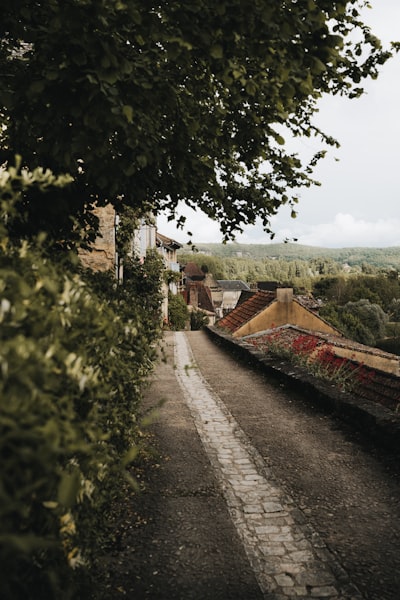 Narrow Path With Old Buildings And Green Foliage. wallpaper preview