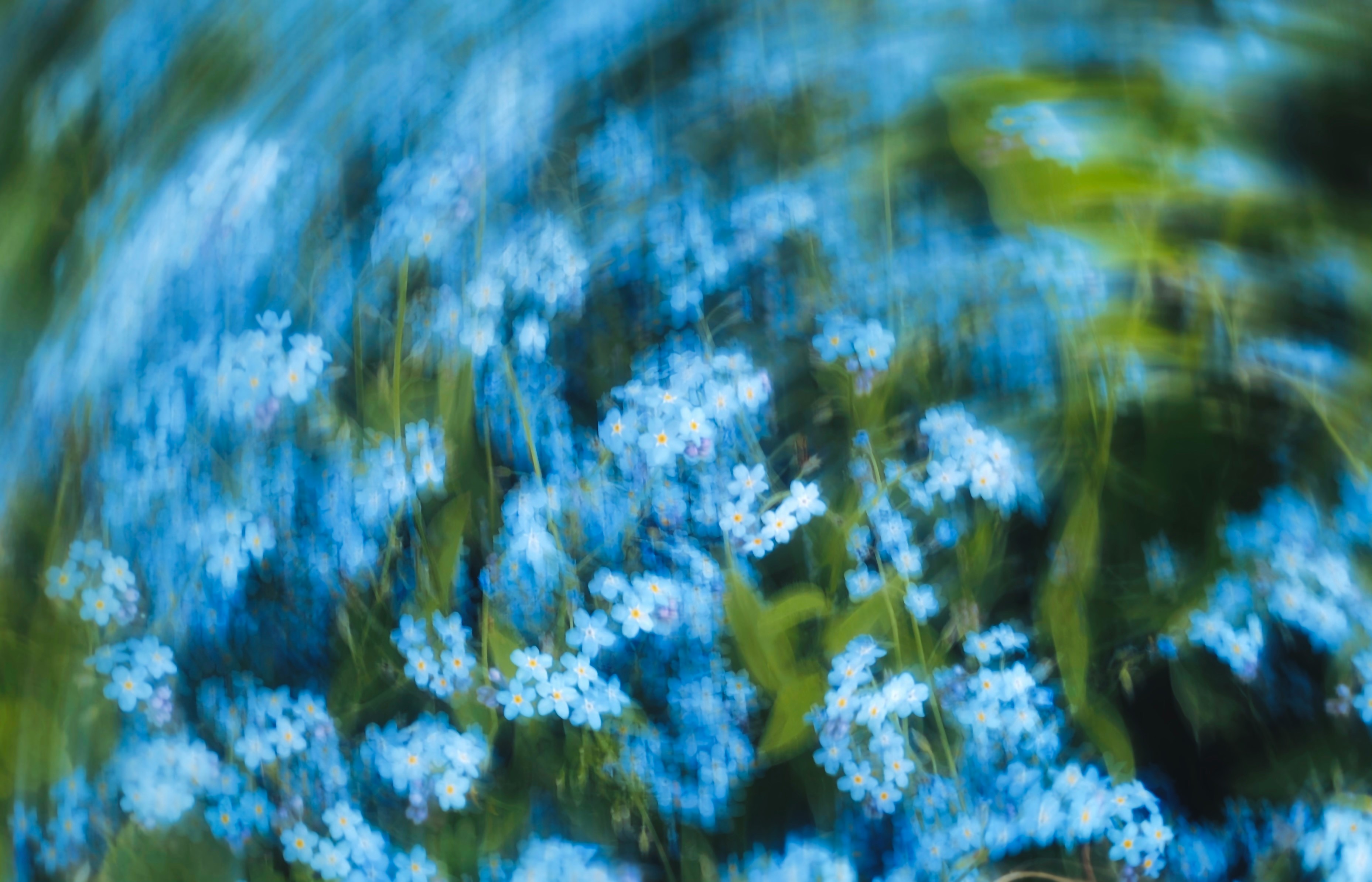 Abstract Blue Flowers With A Swirling Green Background. HD mobile wallpaper
