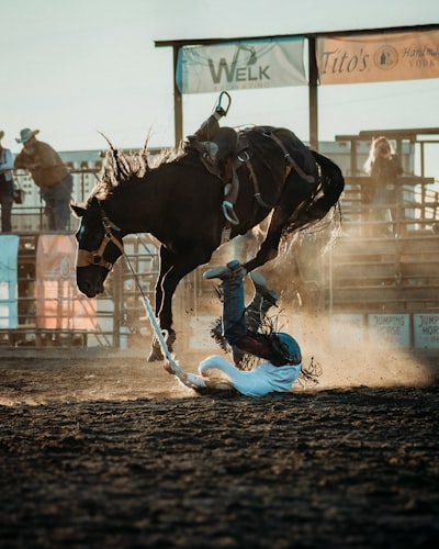 Cowboy Down