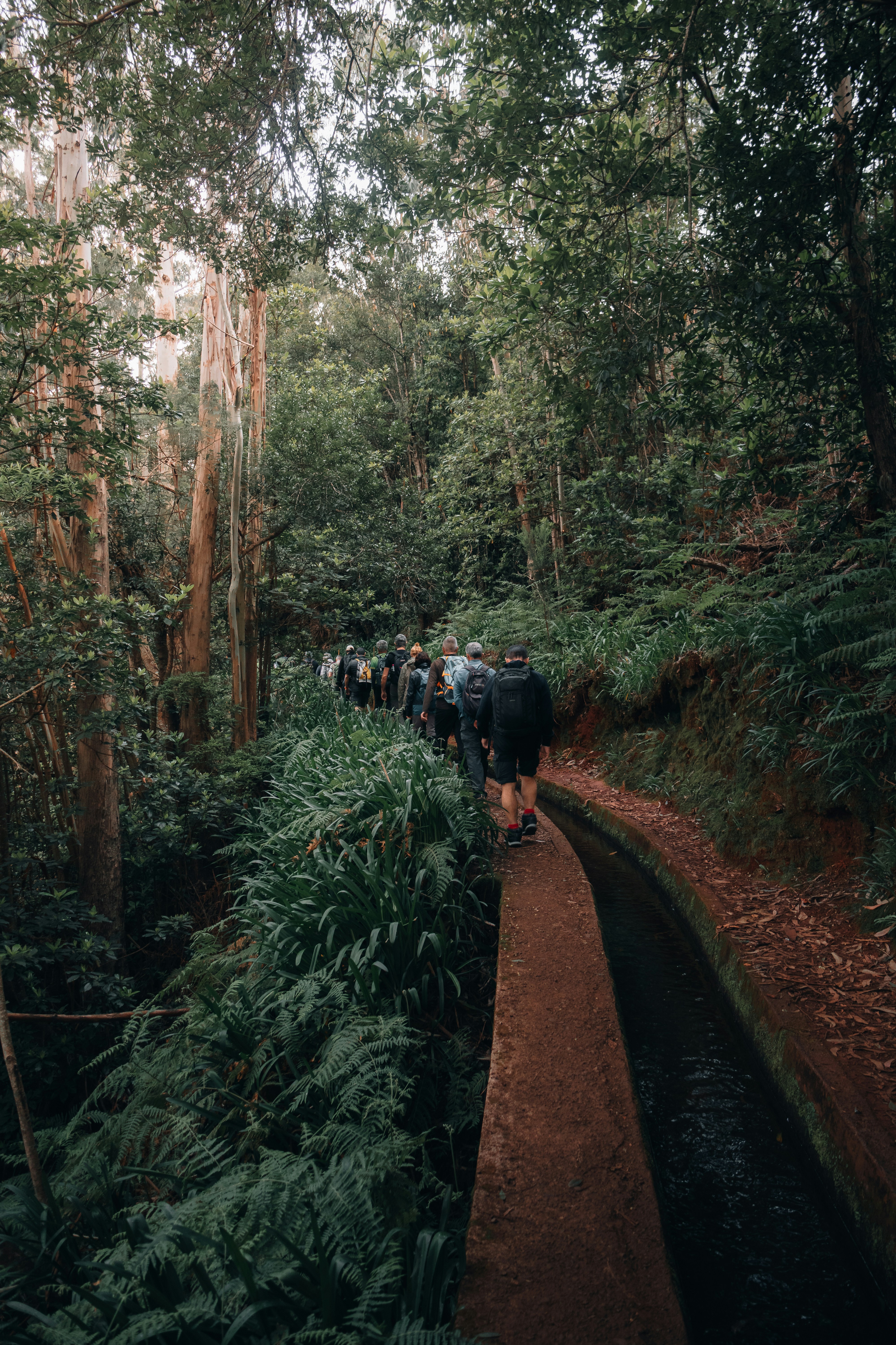 Há Caminhos Entre Amigos Tronam Se Caminhos Do Rei 🤴 HD mobile wallpaper