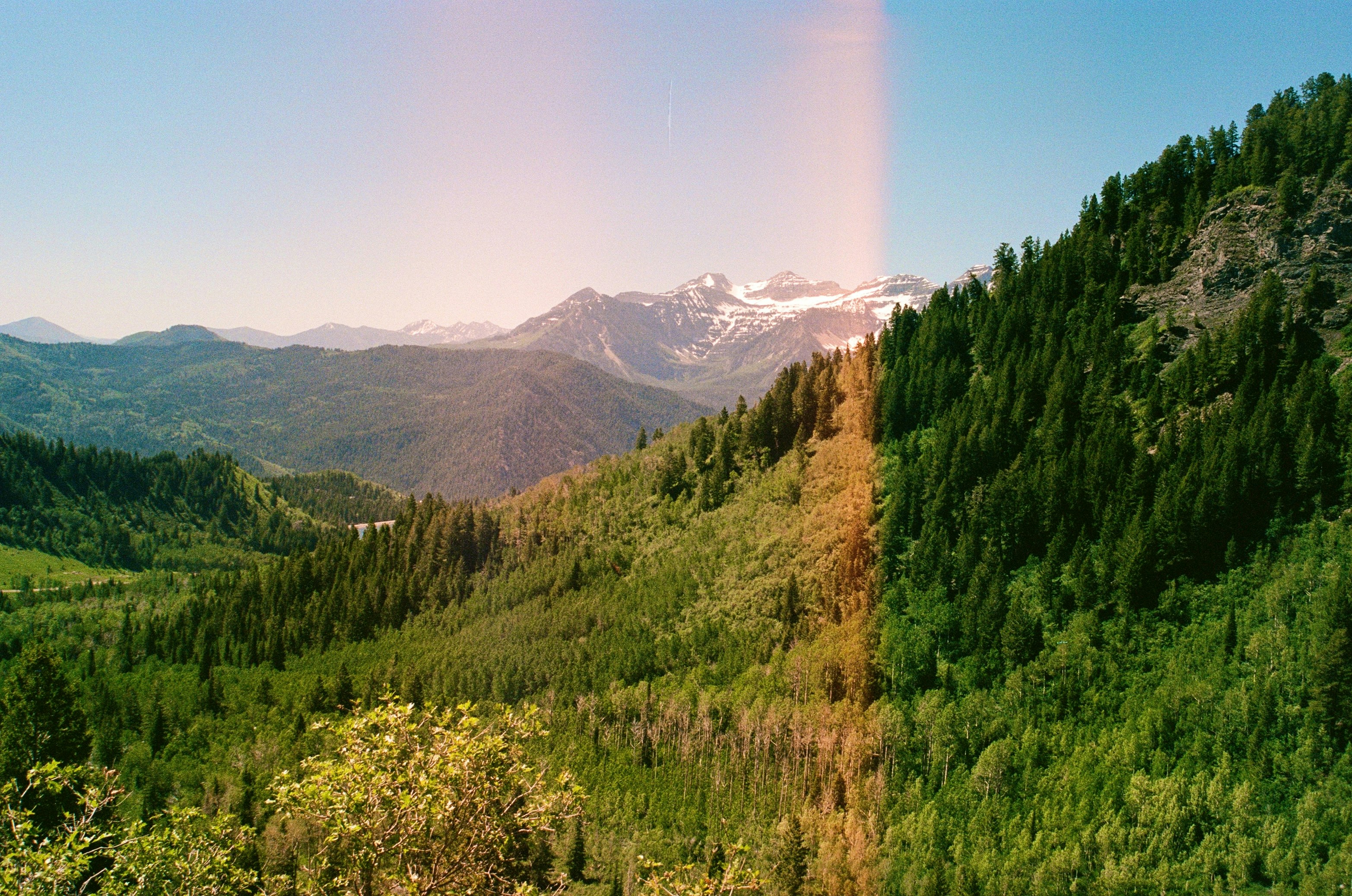 Green Forests, Distant Snow-capped Mountains, And A Prominent Light Flare. HD mobile wallpaper