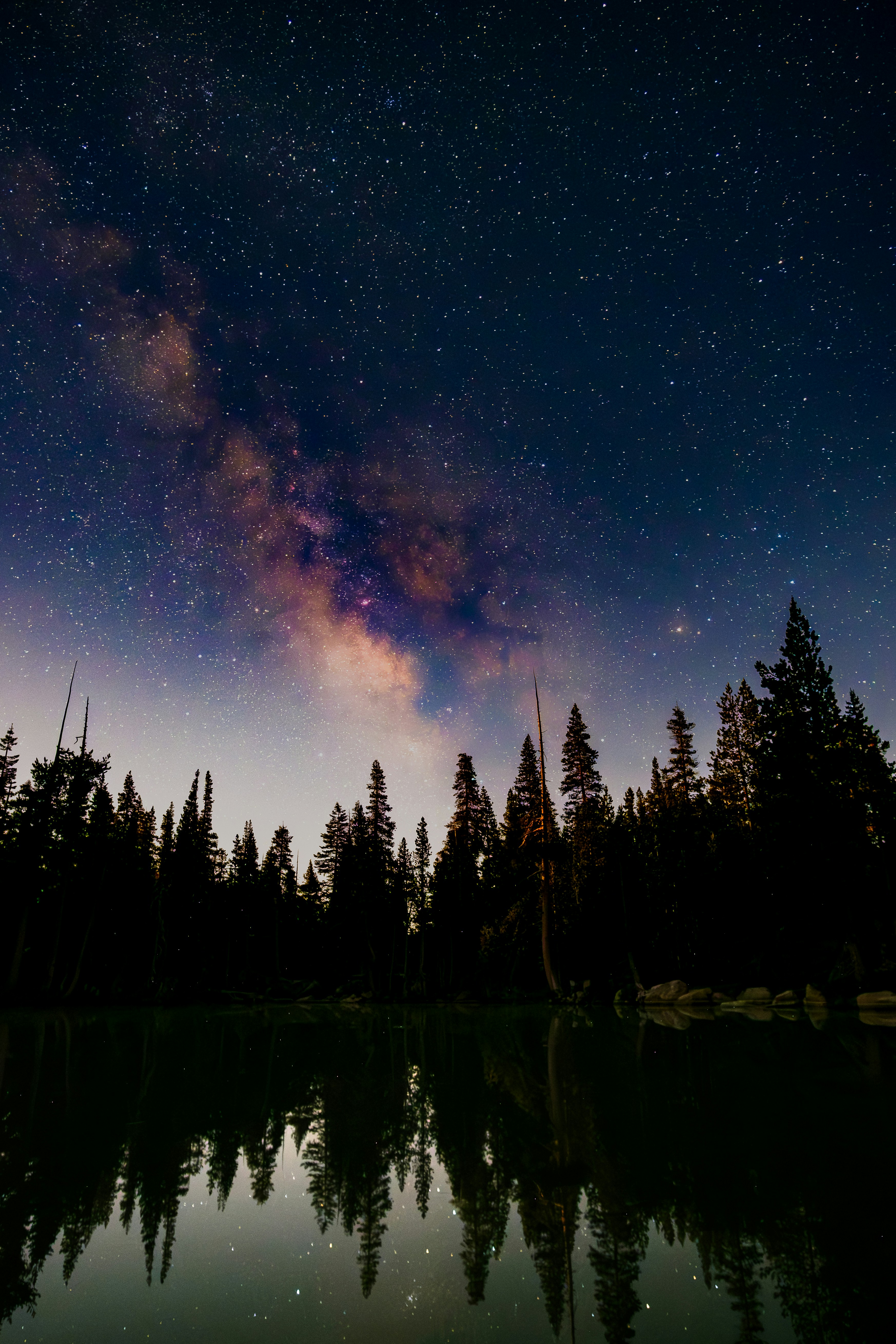 Milky Way Over Forest Reflected In A Calm Lake. HD mobile wallpaper