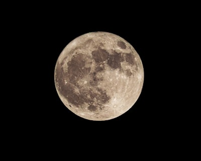 月亮黑夜之下的细微世界