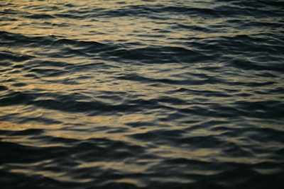 Rippling Dark Water Reflecting Golden Hour Light