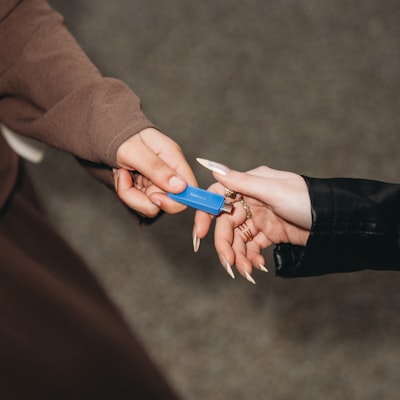 友谊在大自然中绽放