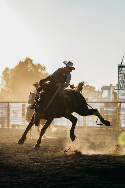 Ride 'em Cowboy! wallpaper preview