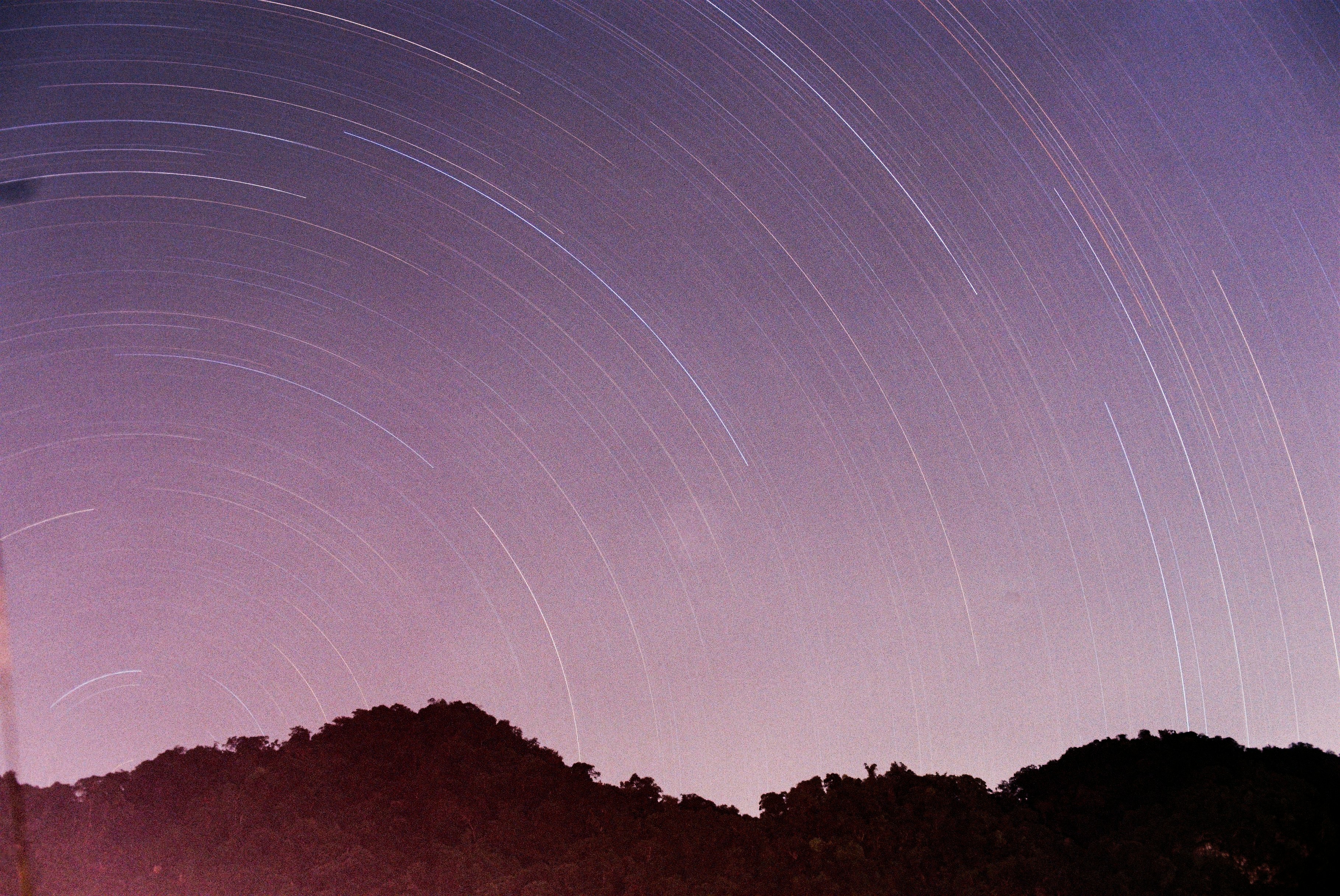 I Shot On Kodak Gold 100 (red) (outdate 2013) HD mobile wallpaper
