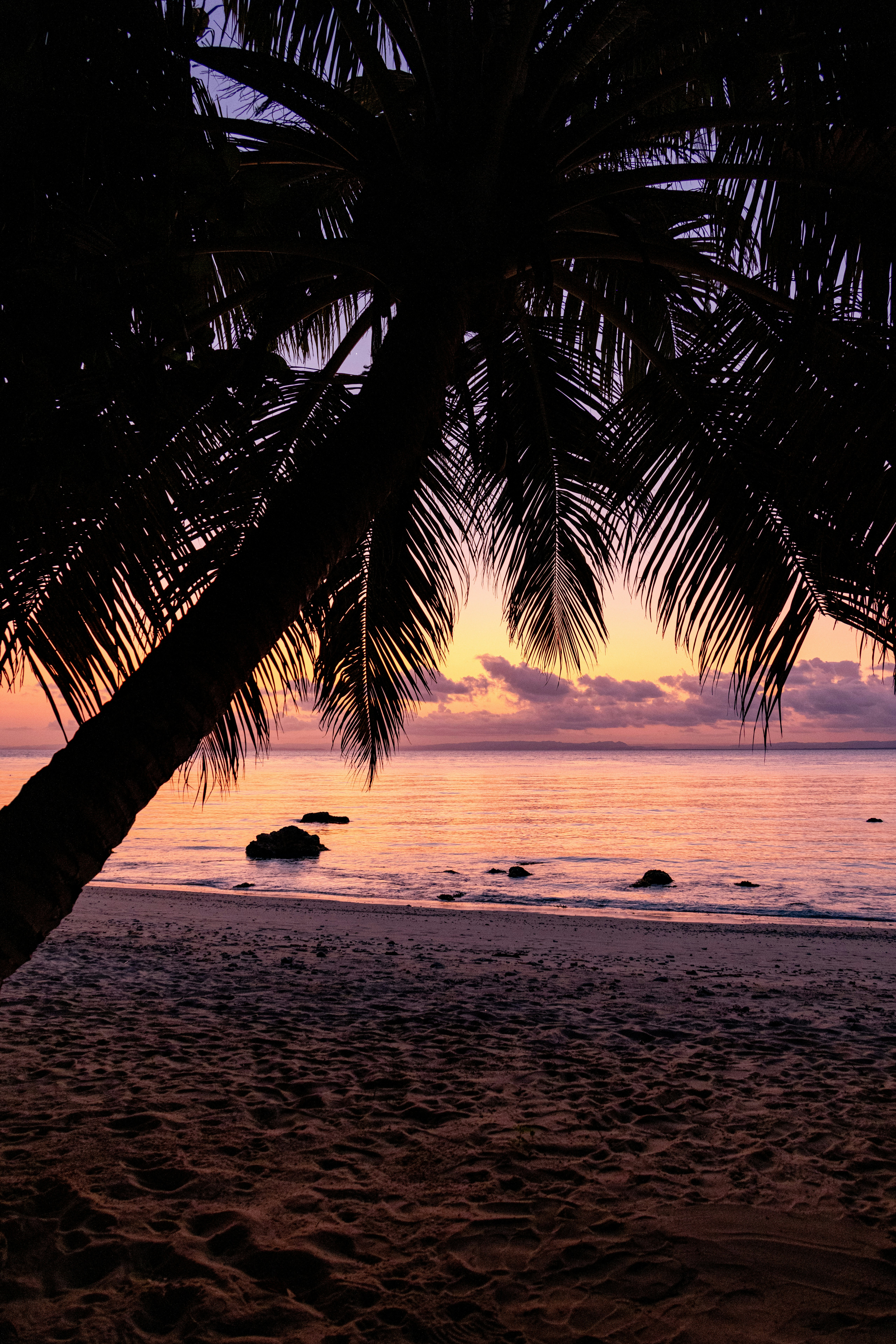 Tropical Beach Sunset With A Silhouetted Palm Tree. HD mobile wallpaper