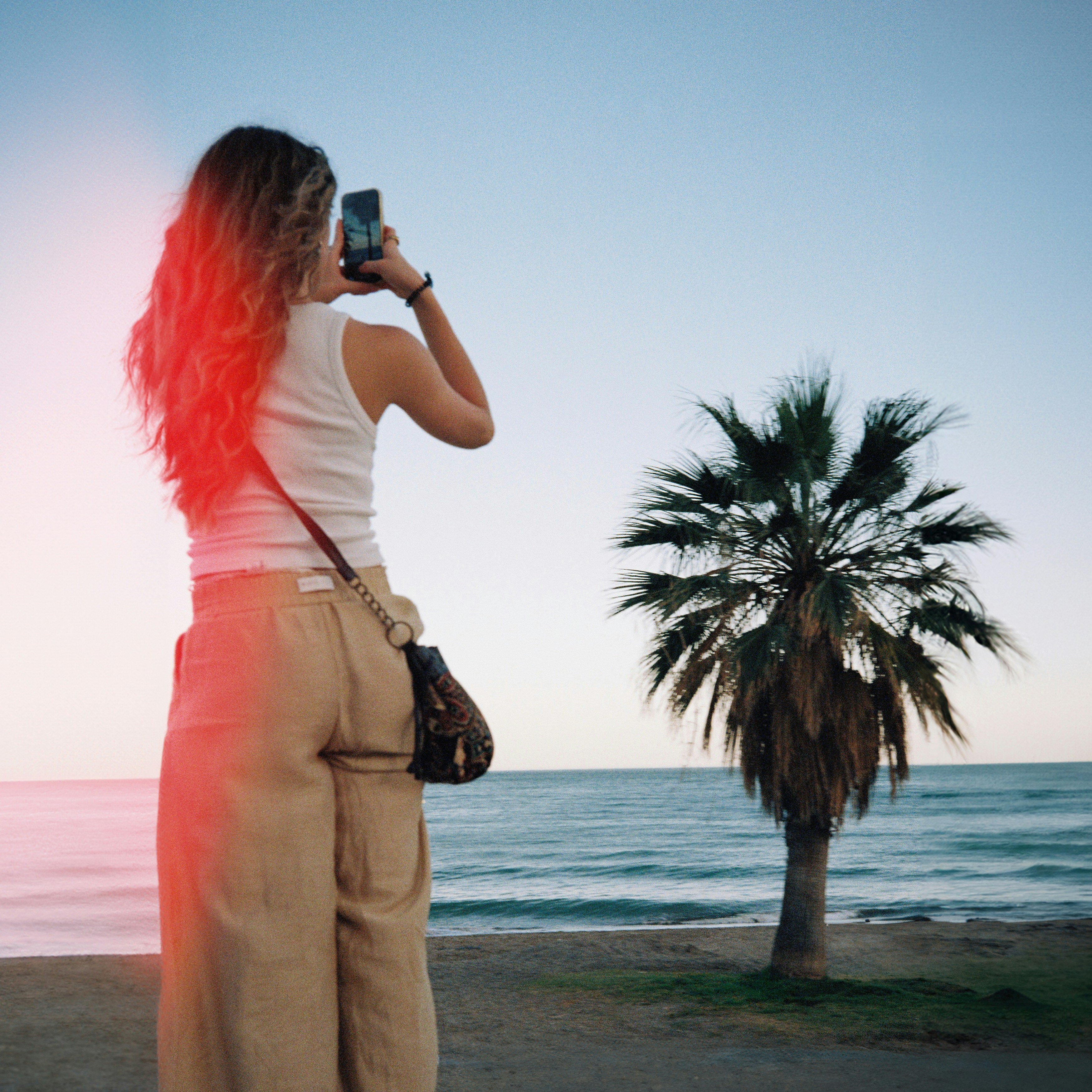 Back View Of A Woman With Long Hair. She Is Taking A Photograph Of A Palm Tree On A Beach With Her Phone. There Is A Red Light Leak On The Left Side Of The Frame. Shot On Film. HD mobile wallpaper