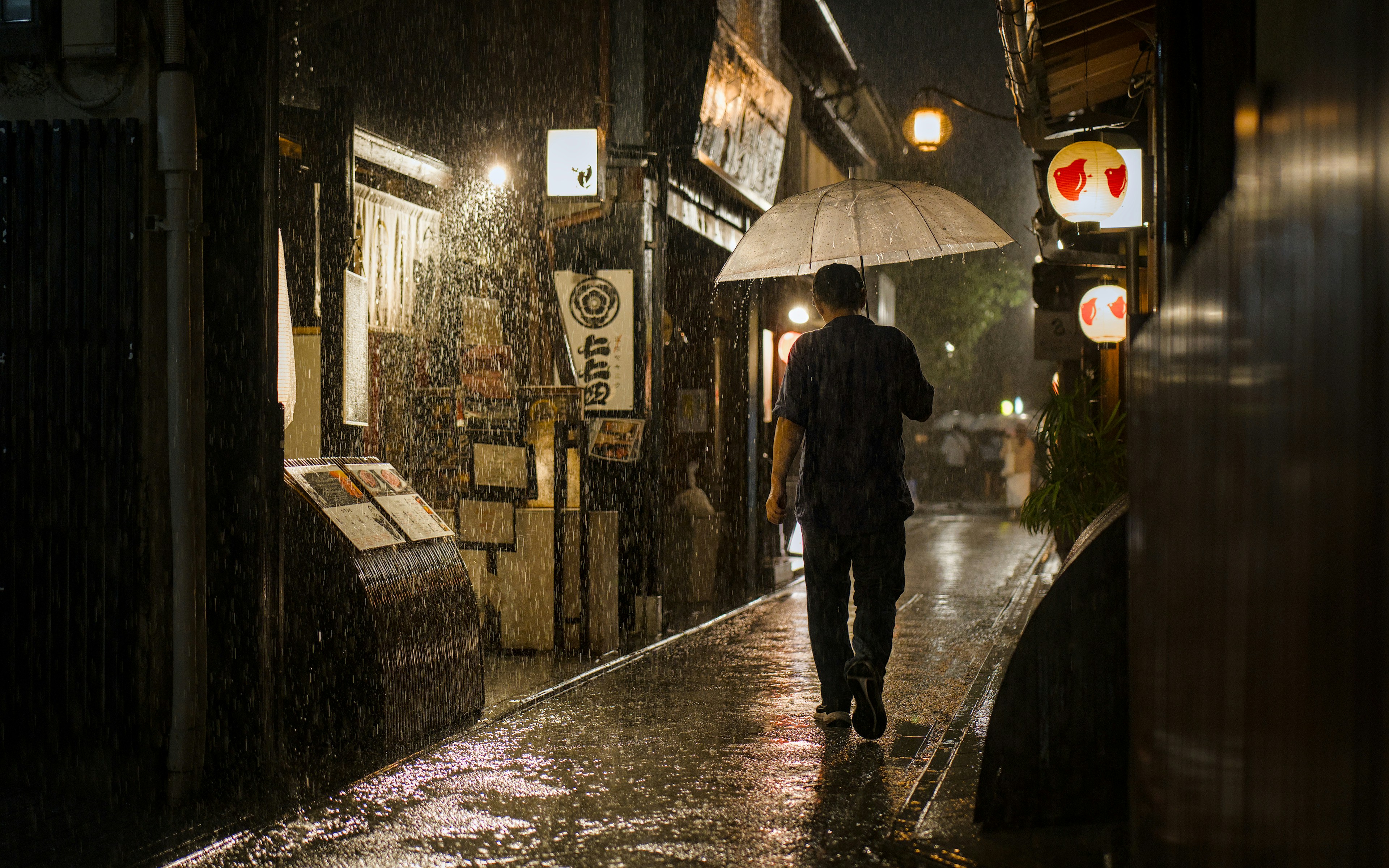 During Three Days Of Continuous Rain Due To Two Typhoons, I Got This Shot In Pontocho - And Myself Proper Drenched In The Process. 2026-06-26 @ 2Q4C+9CQ Kyoto HD mobile wallpaper