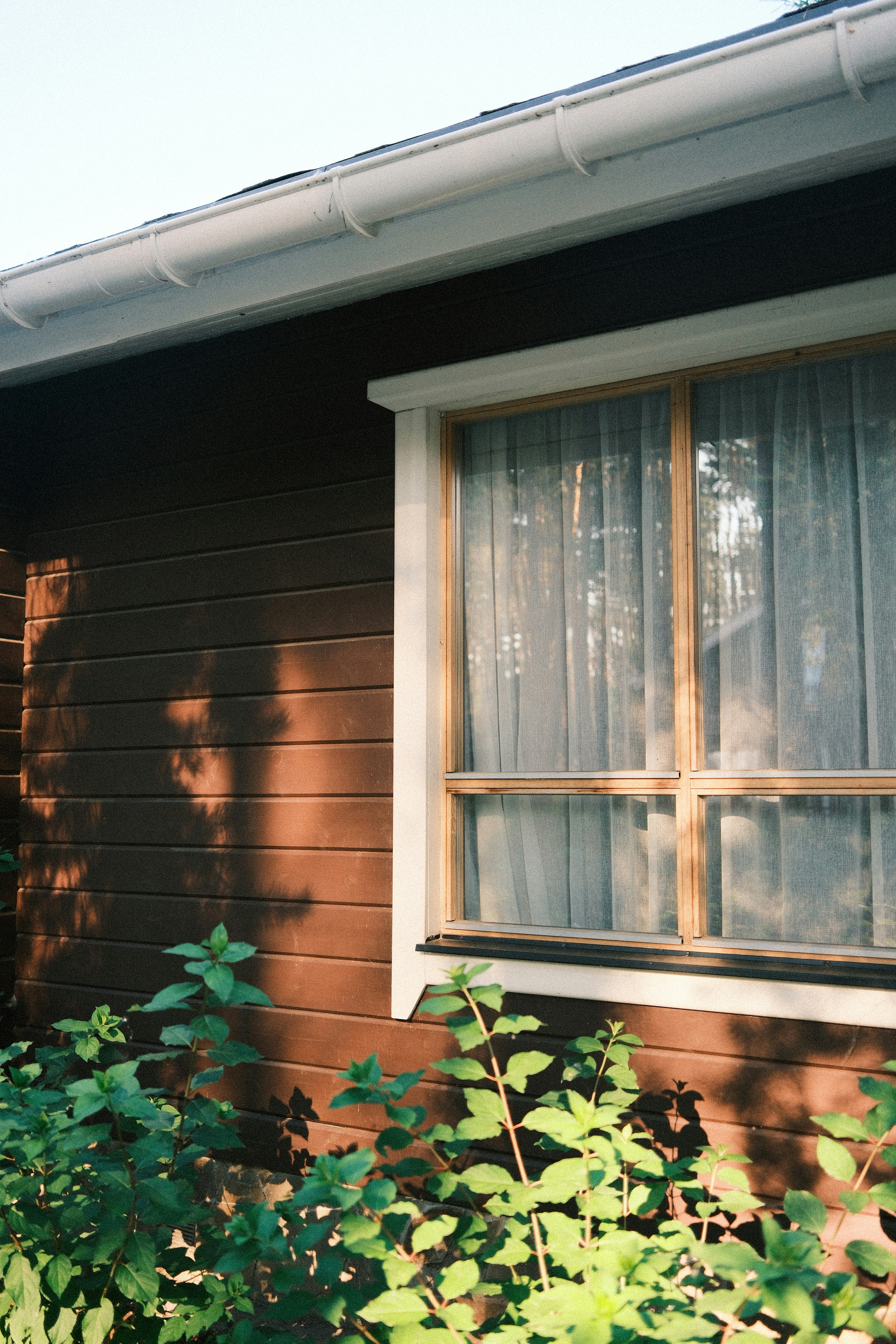 Wooden House Exterior With Window And Green Foliage HD mobile wallpaper