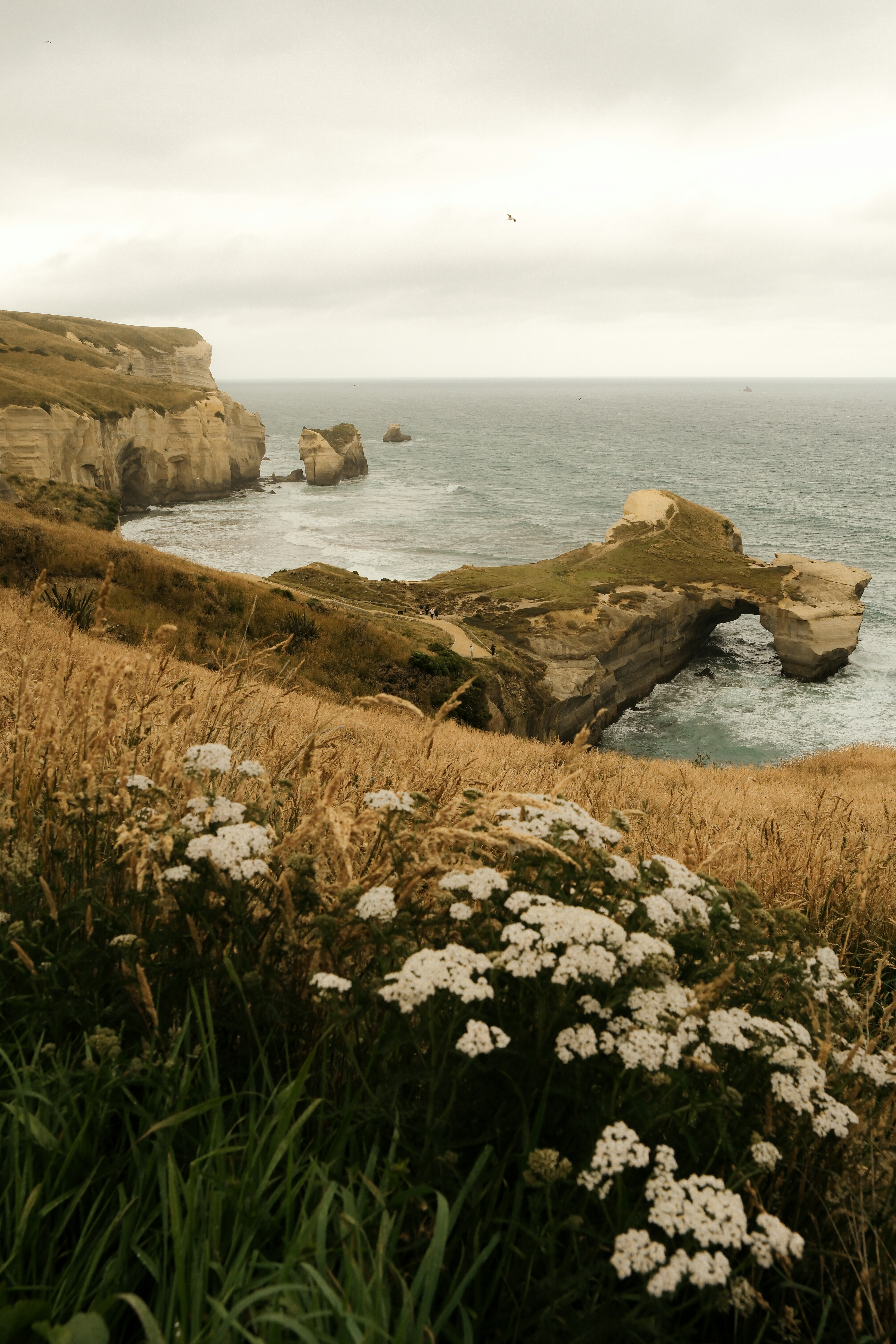 Large Rock Formations And Rough Sea Cliffs On An Overcast Day At Tunnel Beach, Dunedin, New Zealand HD mobile wallpaper