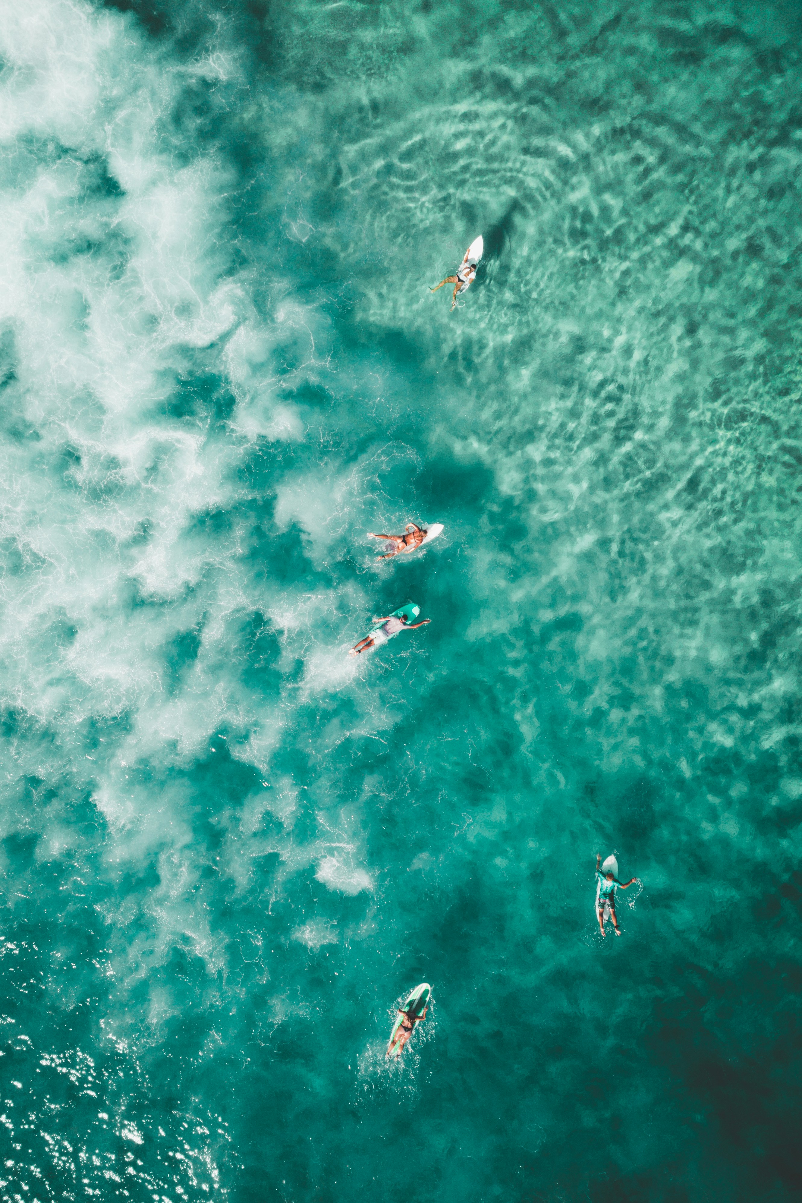 Surf.er