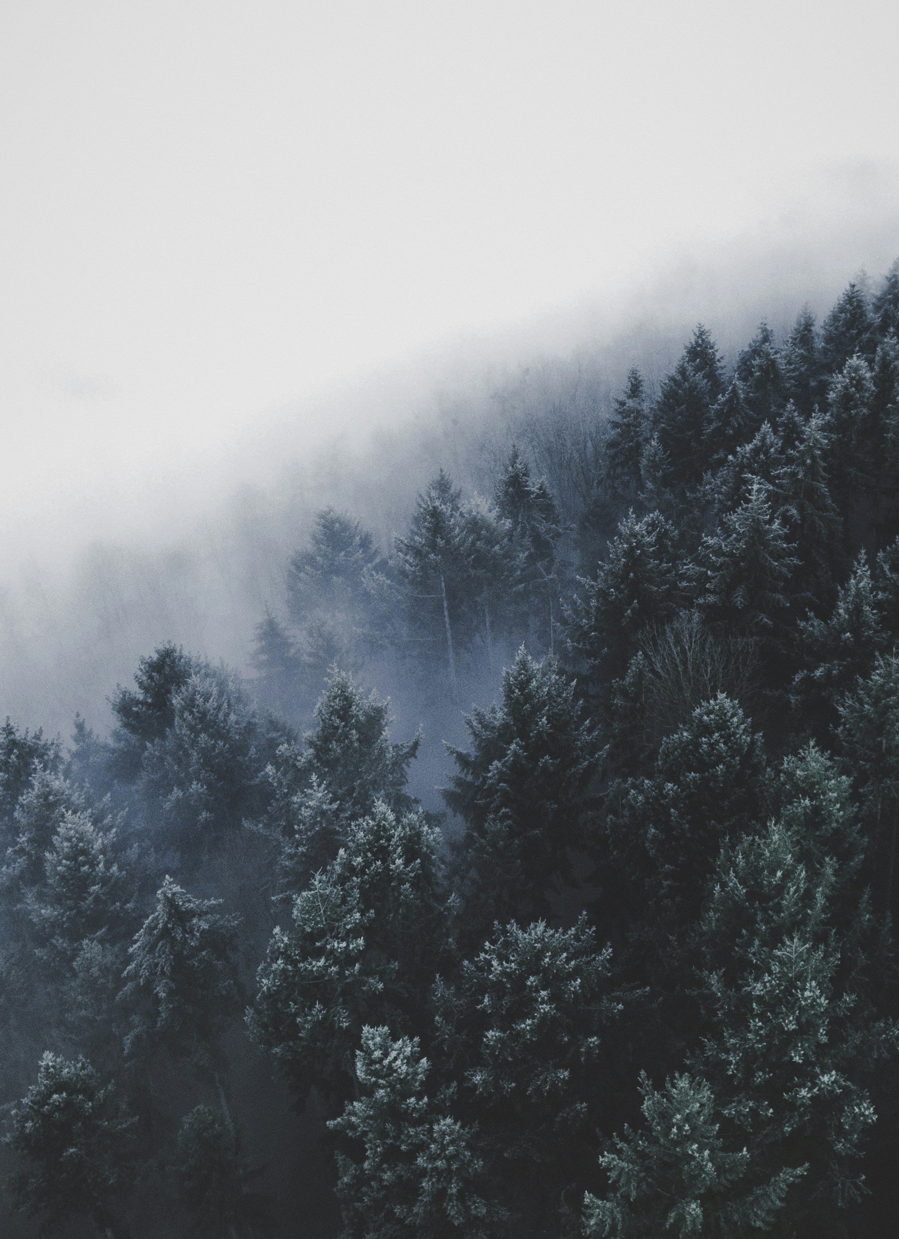 Foggy Germany