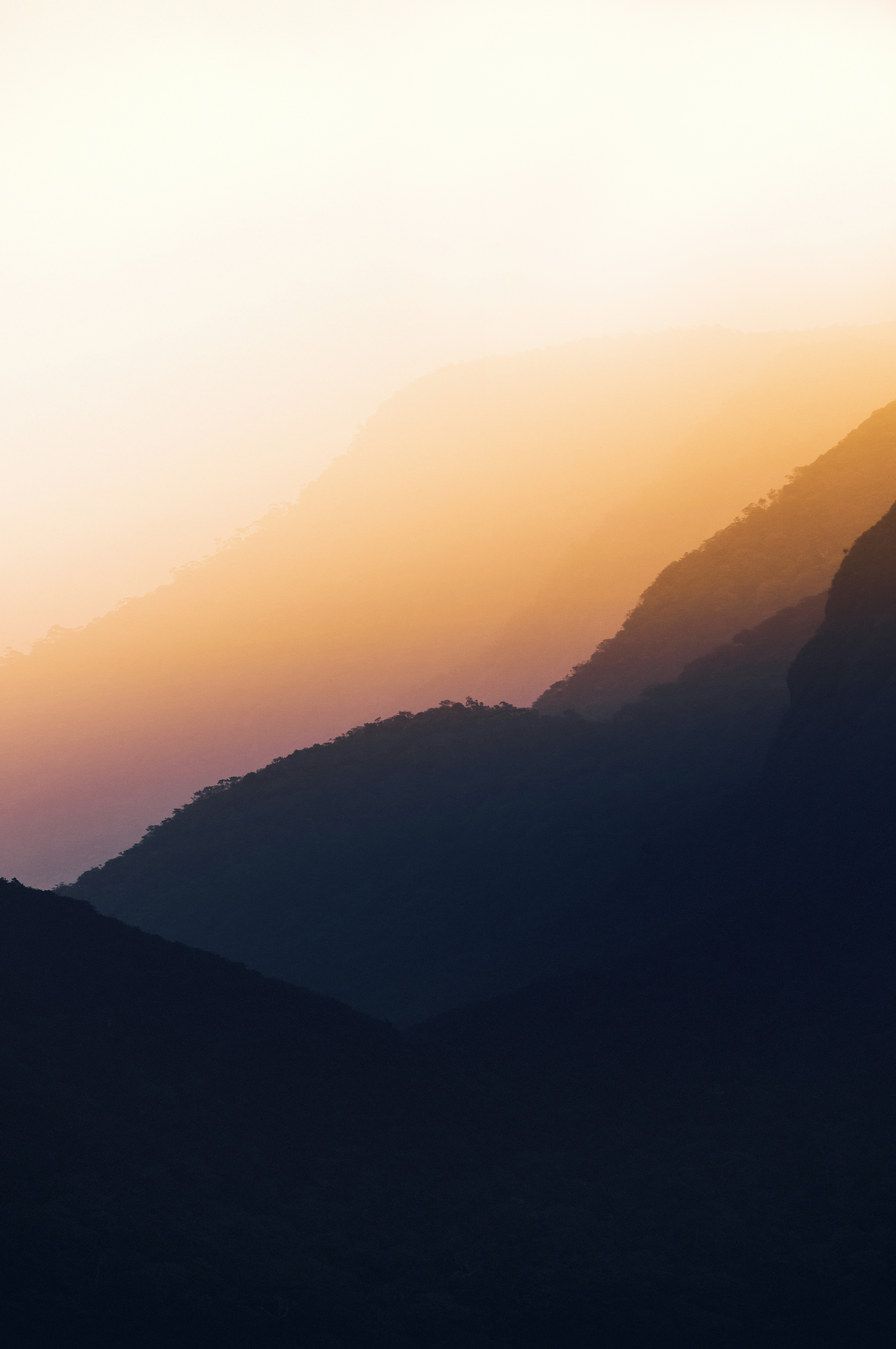 Shot This Amazing Scenery While Climbing To The Top Of Adam’s Peak Srilanka.