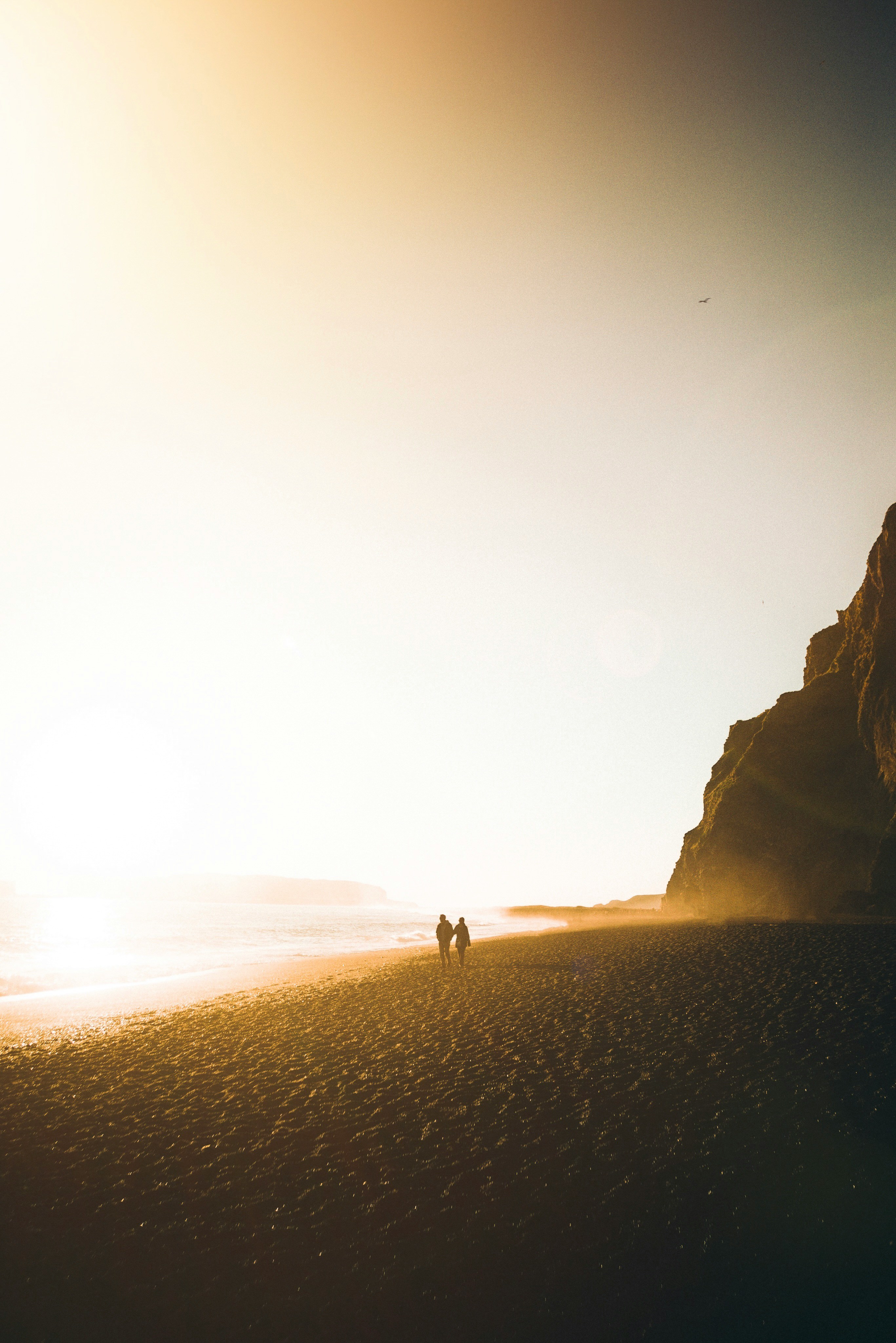 Silhouette Of People Near Beach
