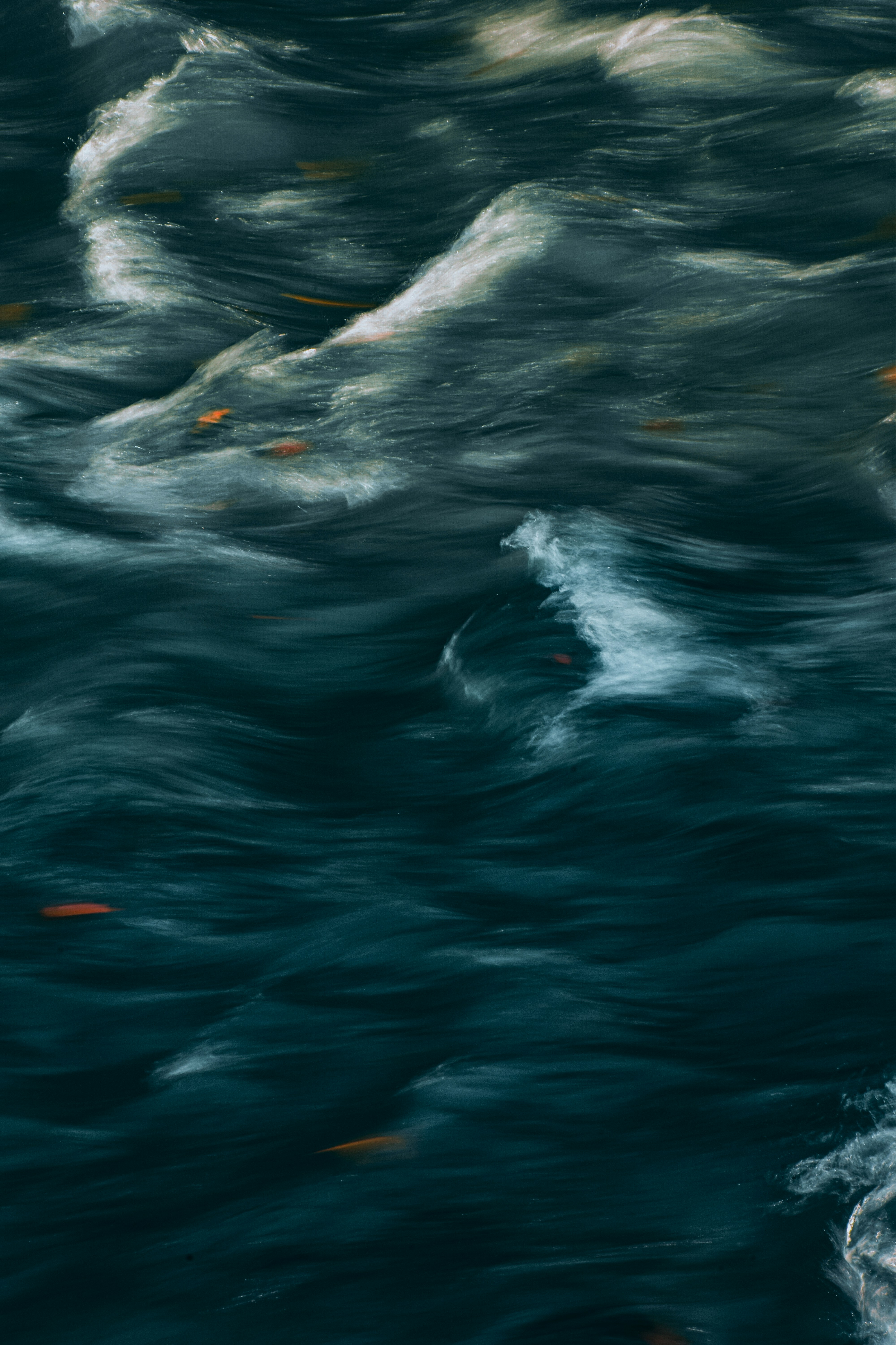 A Bird Flying Over A Body Of Water