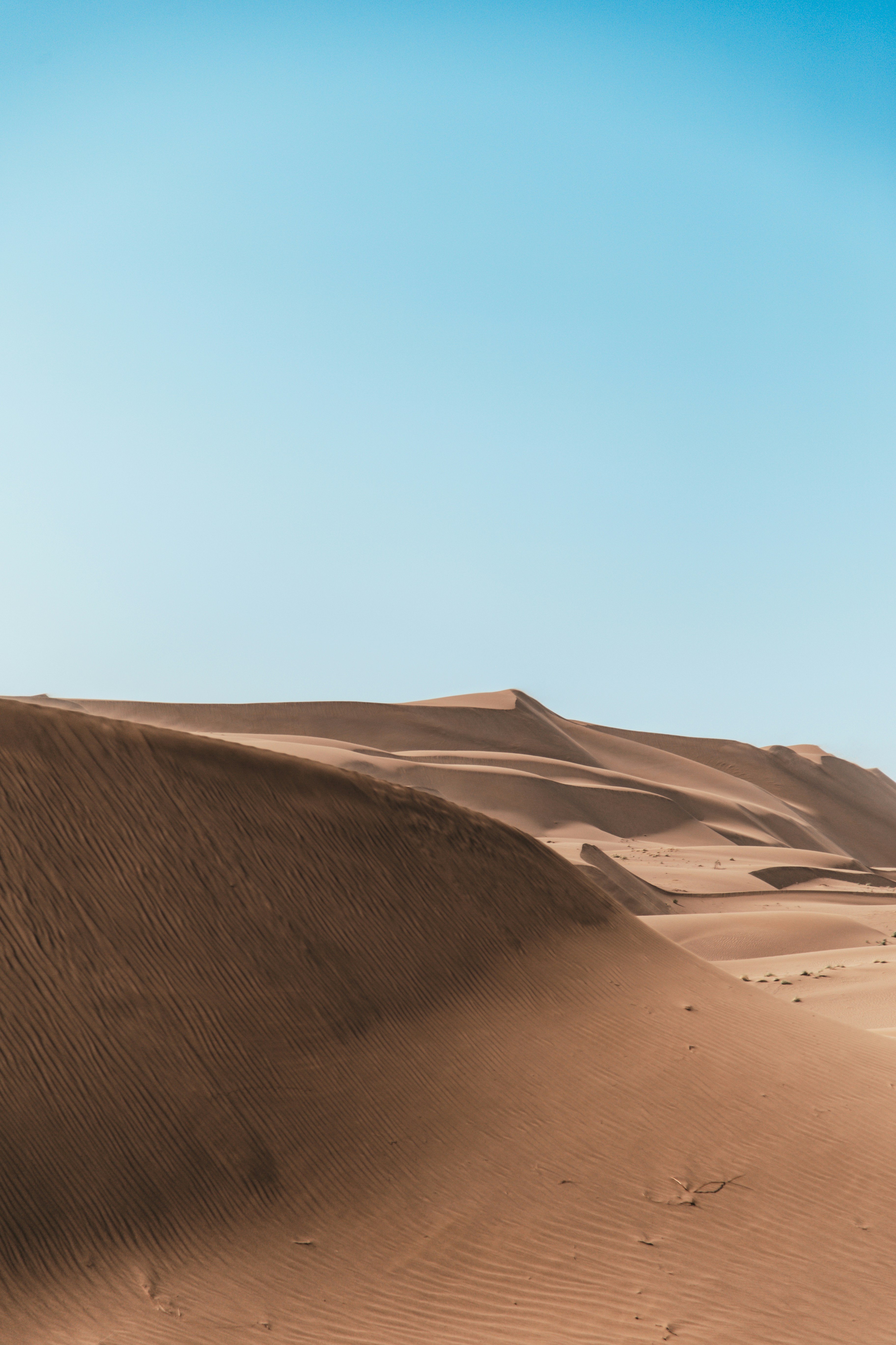 Sound Of The Desert